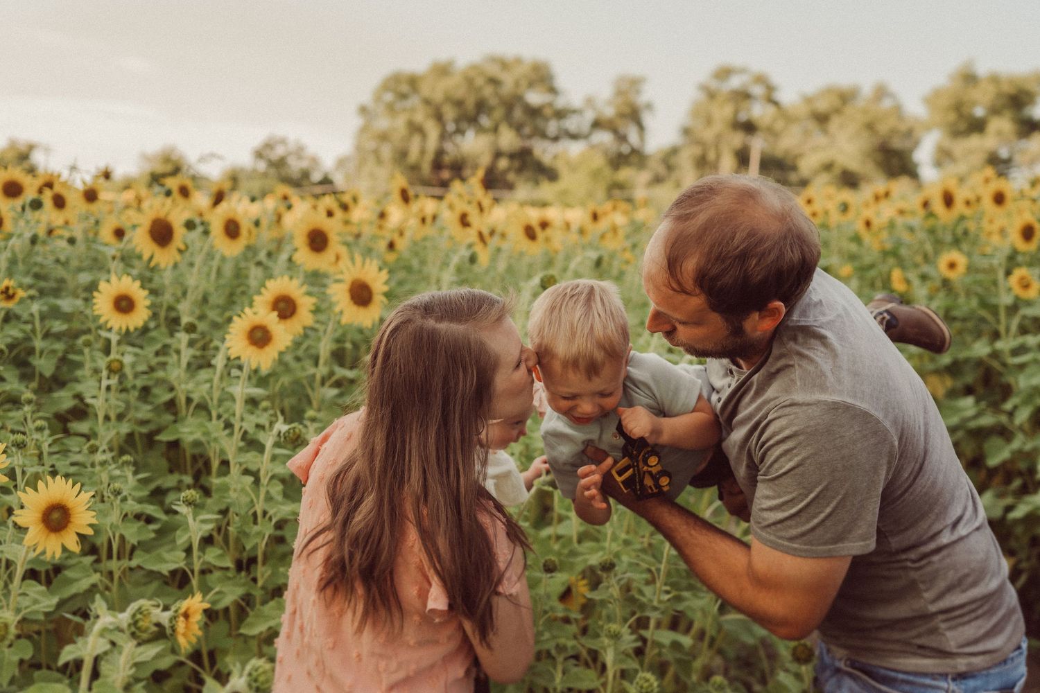 A joyful family moment shared amongst blooming sunflowers at sunset.