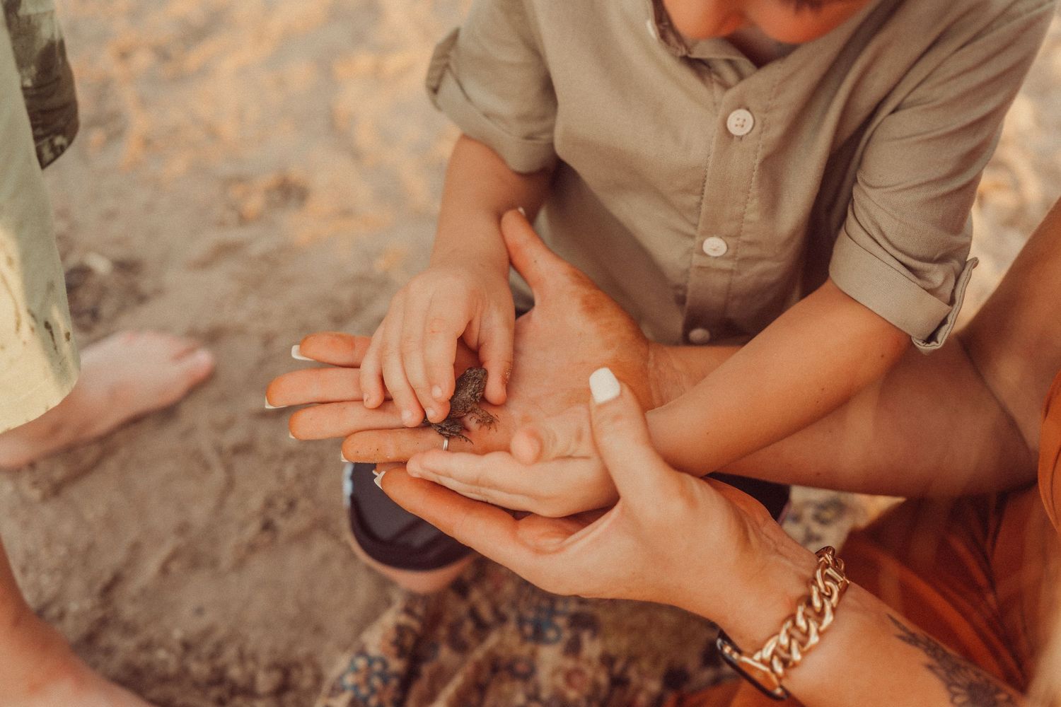 Close-up of hands exchanging a ring during a romantic moment outdoors.