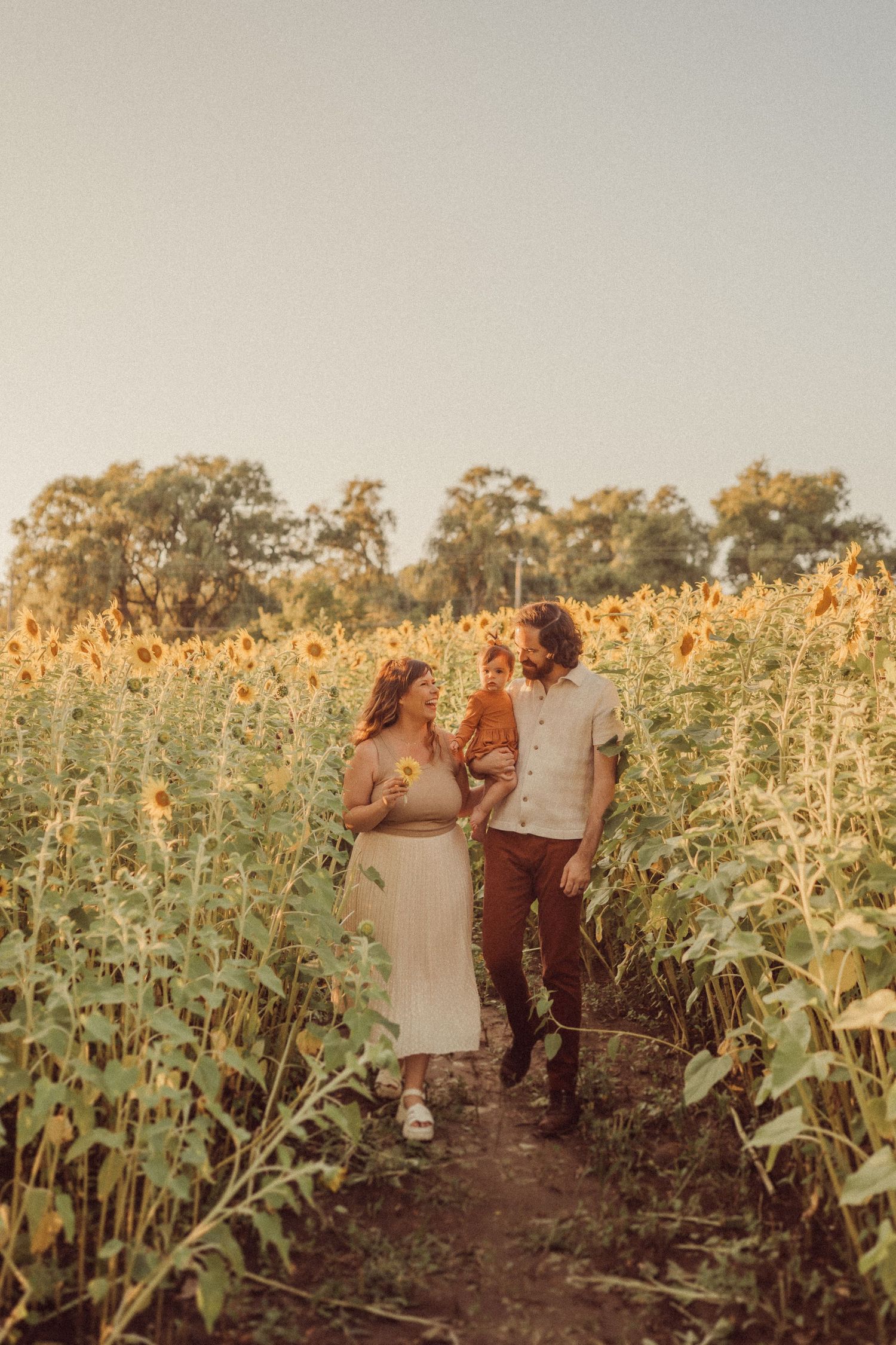 Couple walking hand in hand through a sunflower field at golden hour.