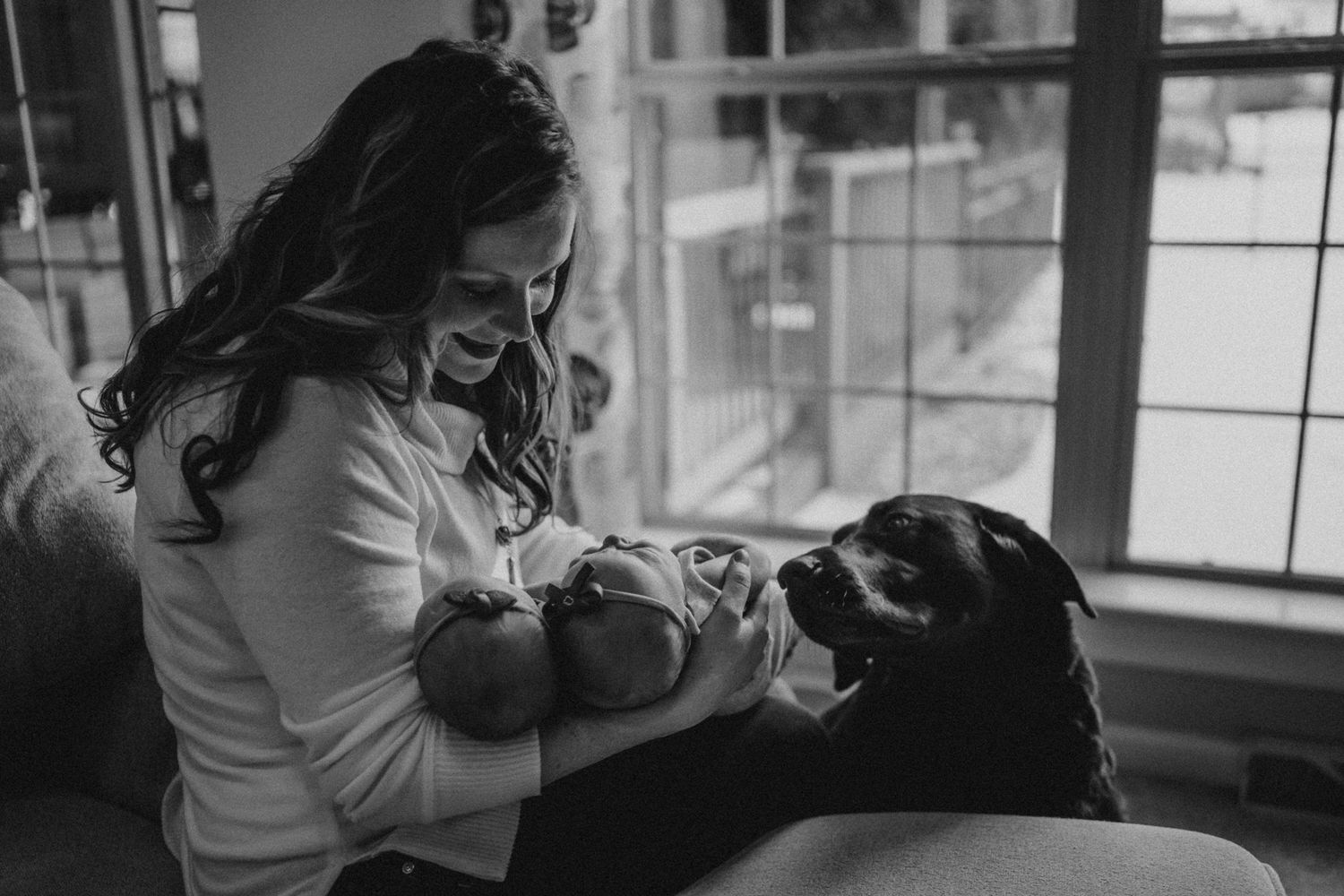 Tender family moment with pet dog meeting newborn baby by window.