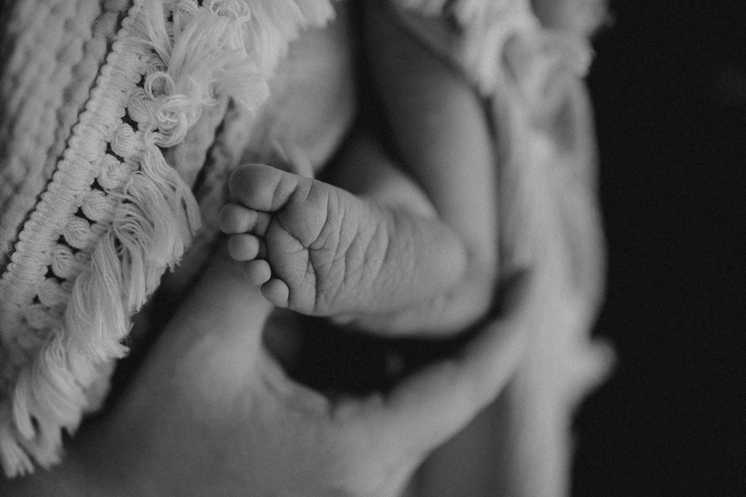Close-up black and white image of tiny baby feet wrapped in knit blanket.