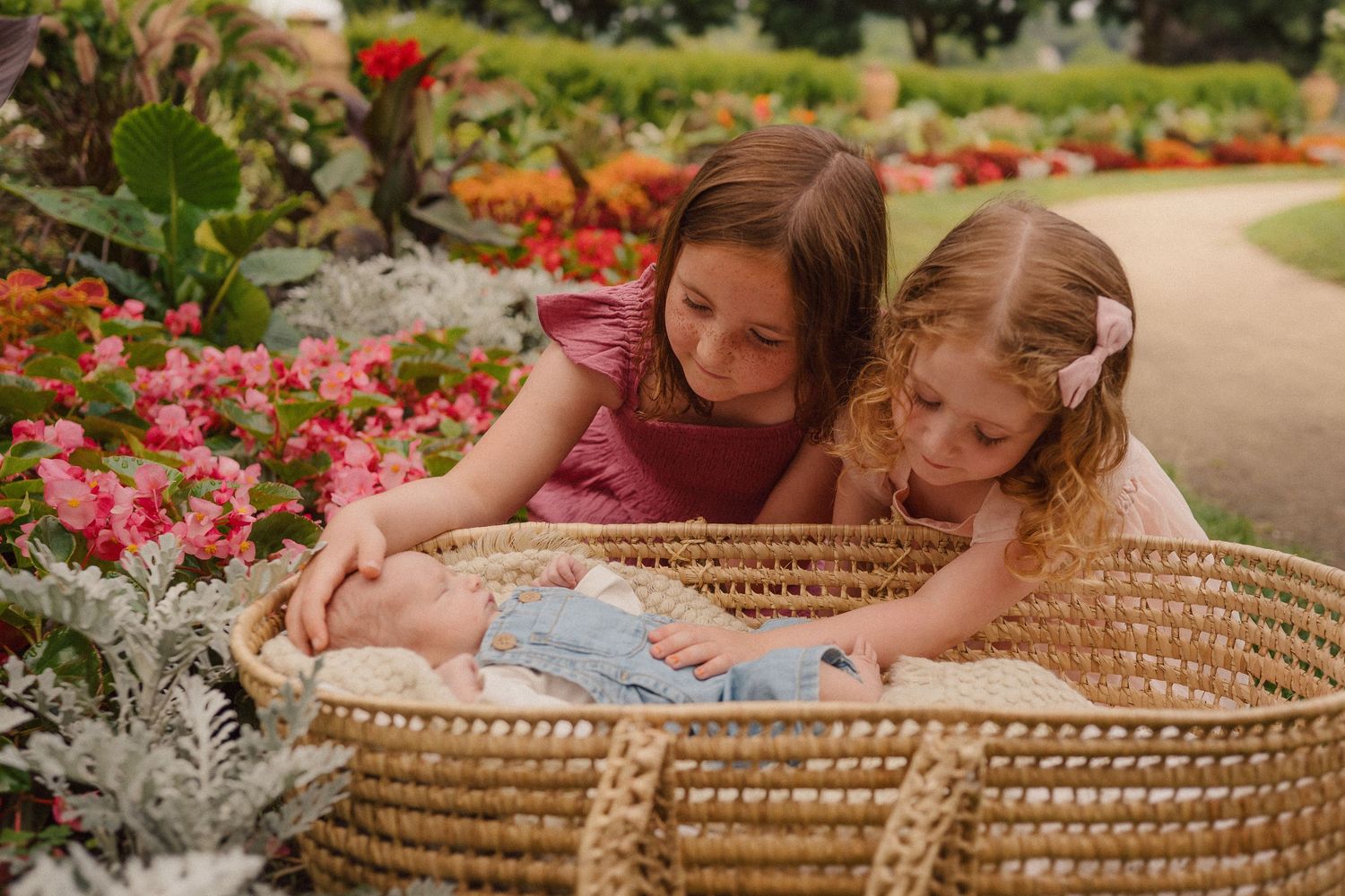 Outdoor scene with woven basket surrounded by vibrant pink flowers and greenery.
