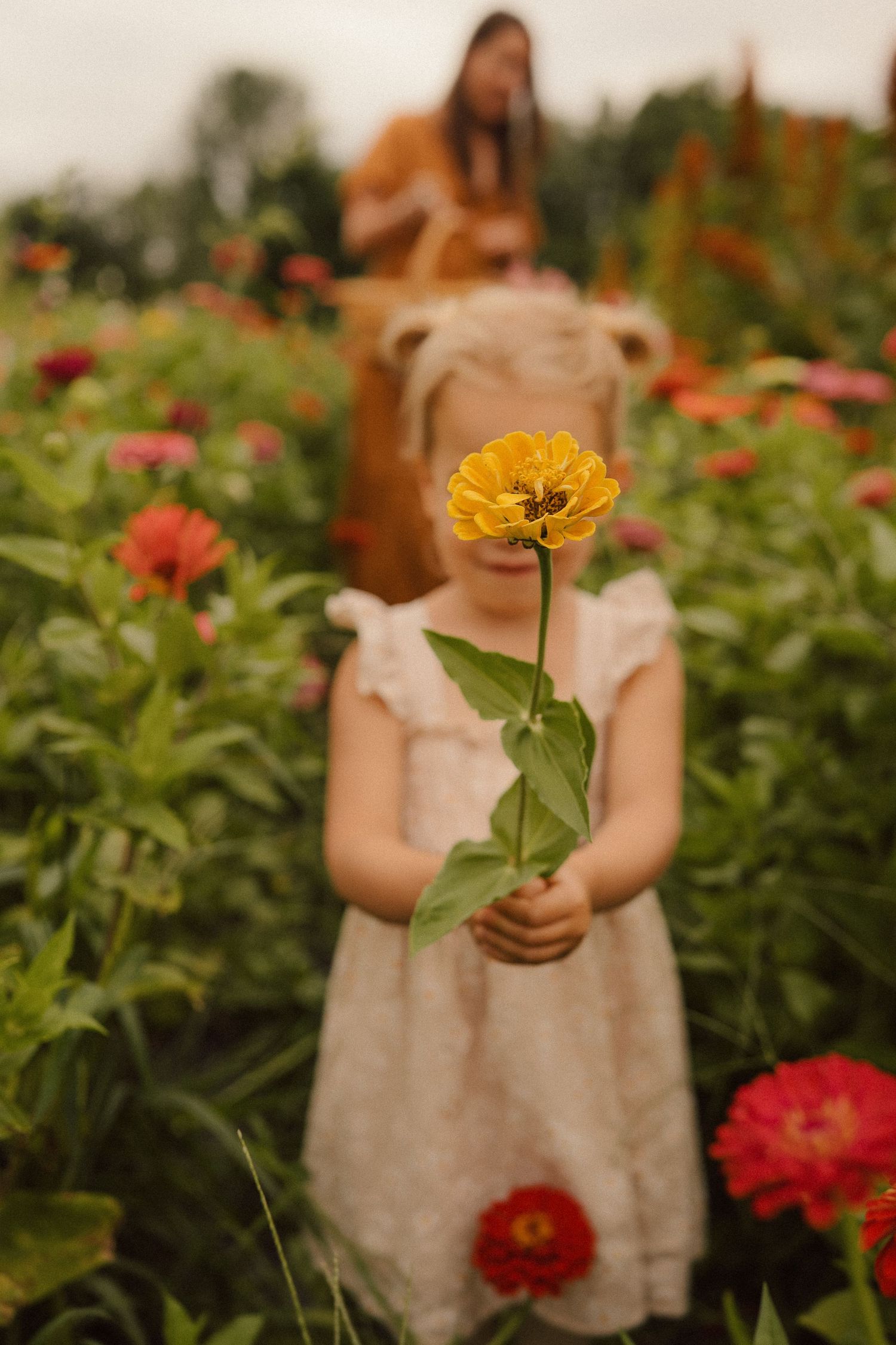 A person in a cream dress holds a yellow zinnia flower while standing in a colorful flower garden at sunset.