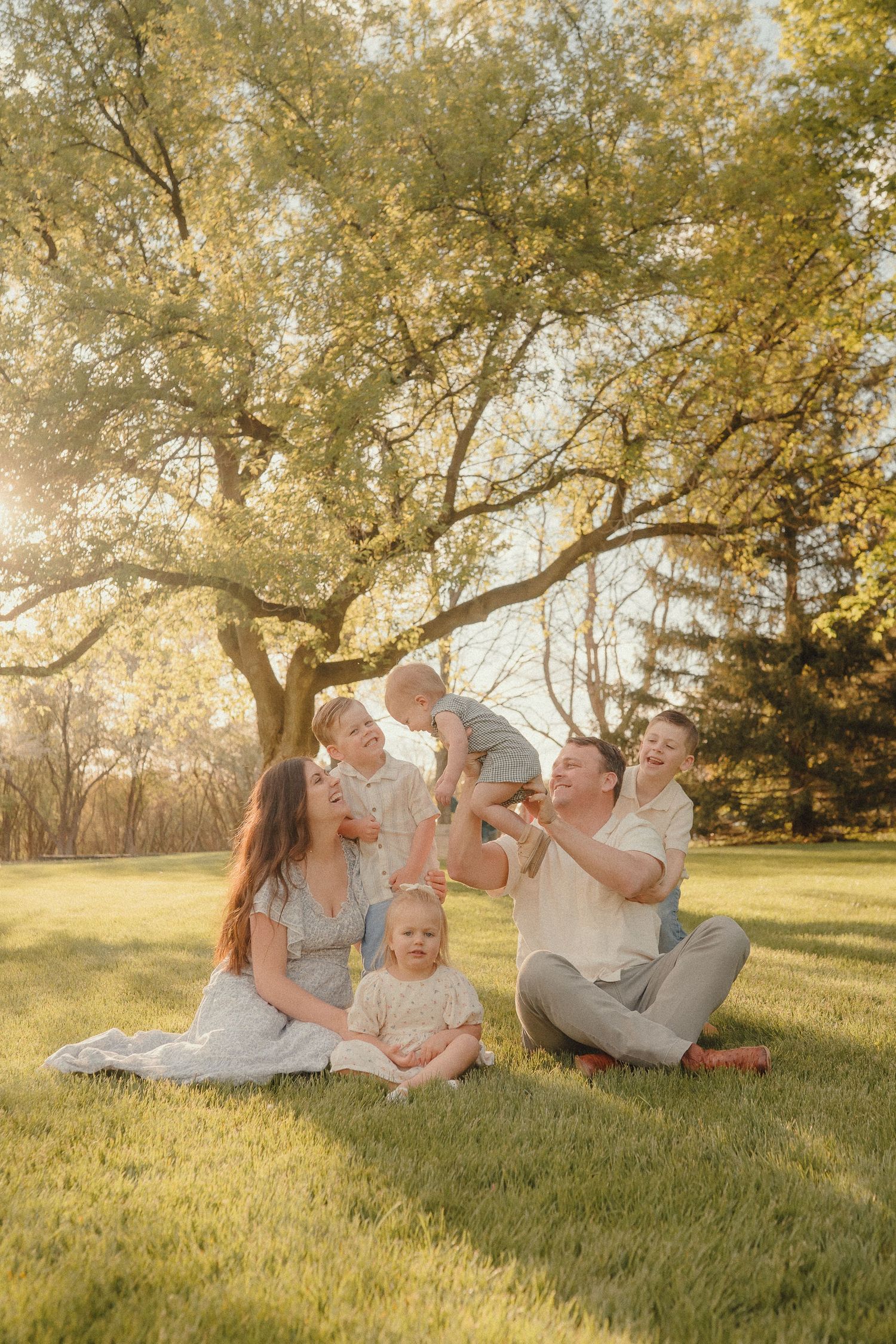 Joyful family sitting on lawn at sunset as father lifts smiling baby in the air beneath a large tree.