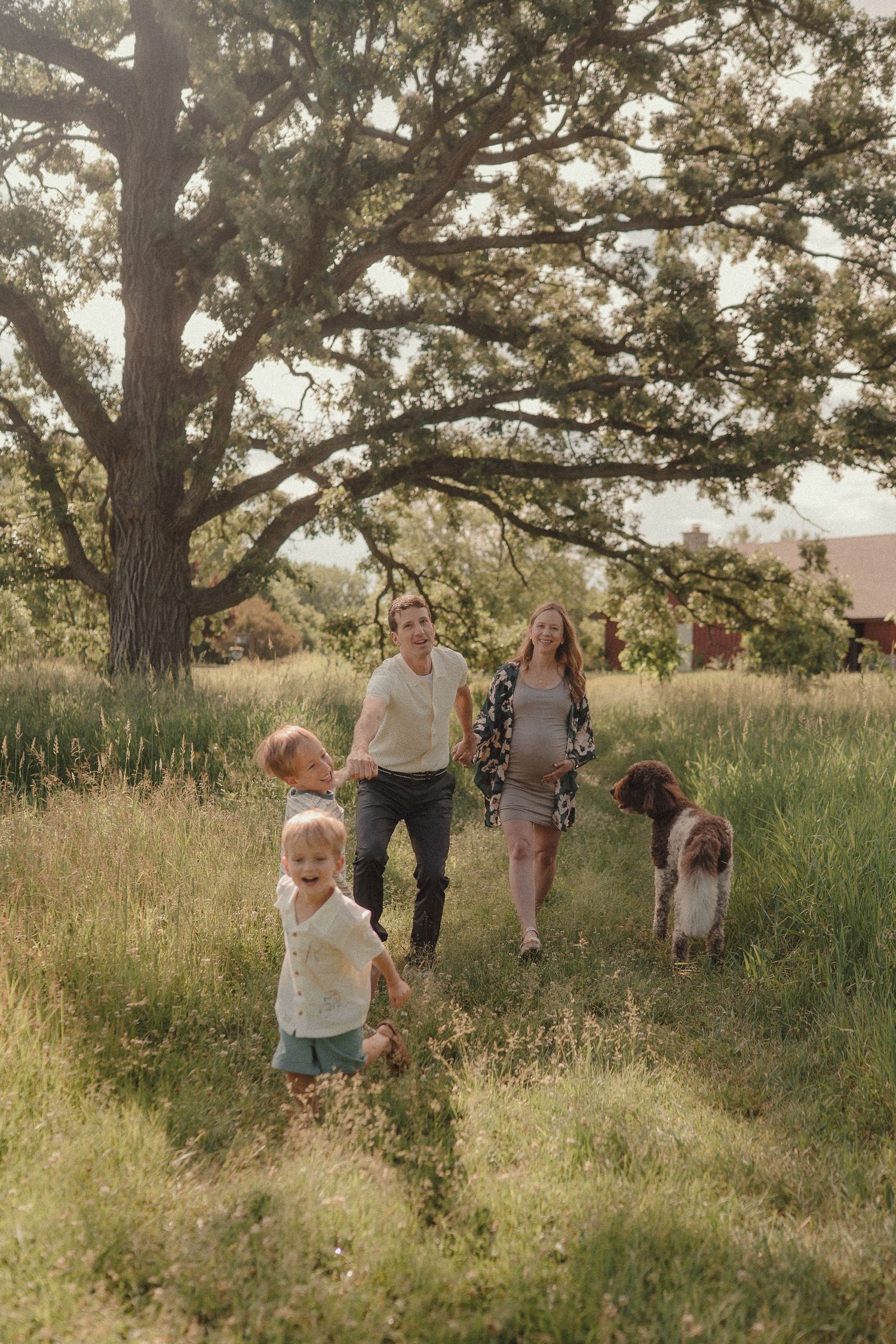 Family with toddler and dog walking through lush green field under large oak tree on sunny day.