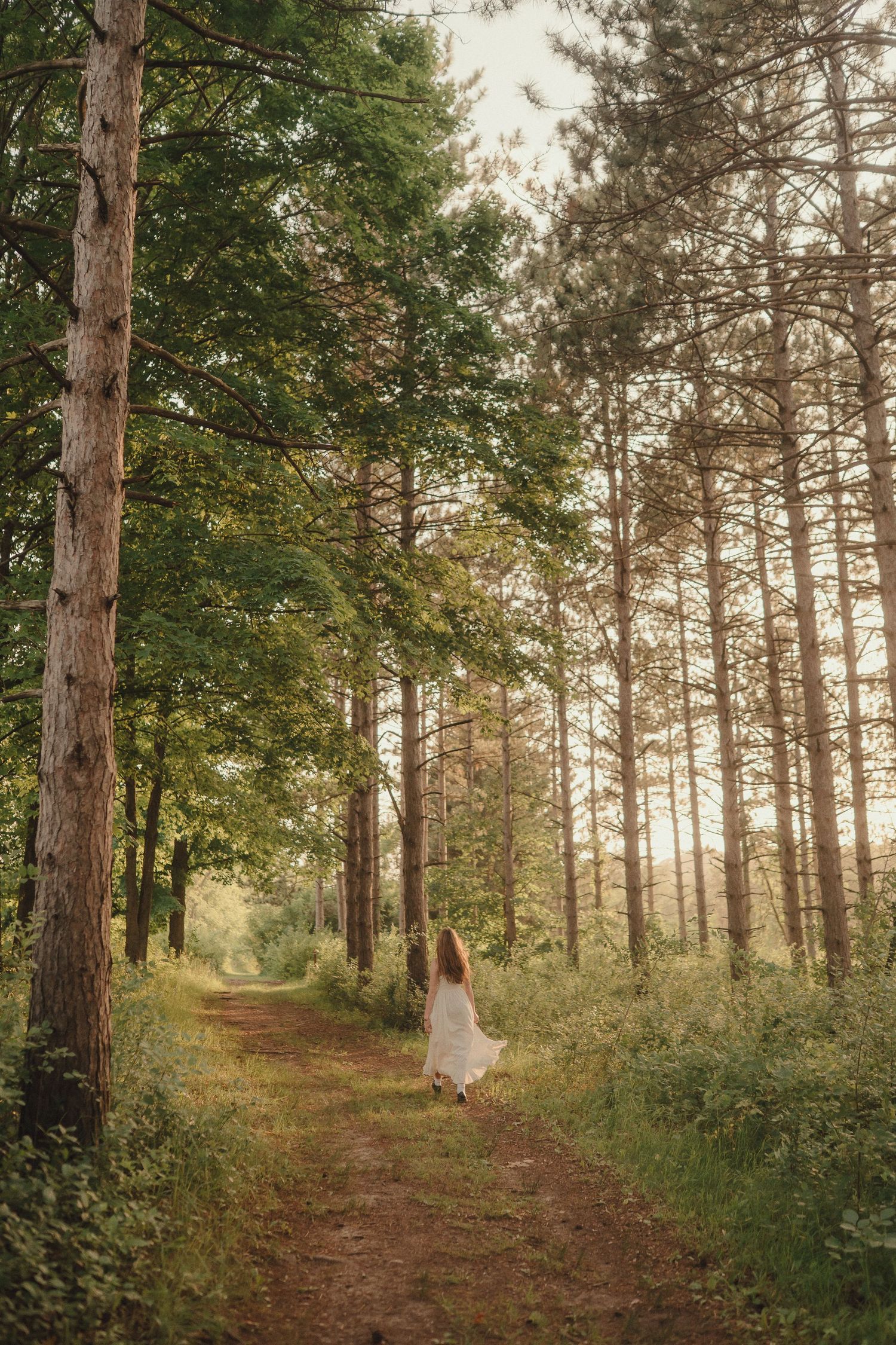 Woman in white dress walking along a sunlit forest path surrounded by tall pine trees.