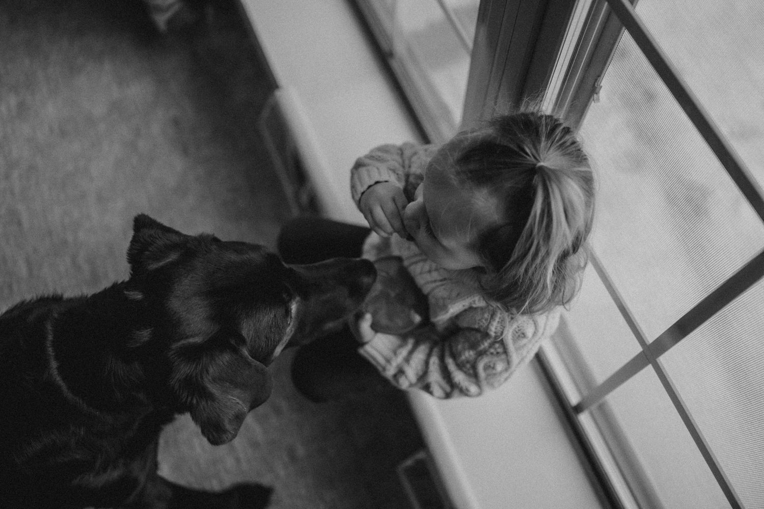Black and white aerial view of a small child interacting with a large dark dog by a window.
