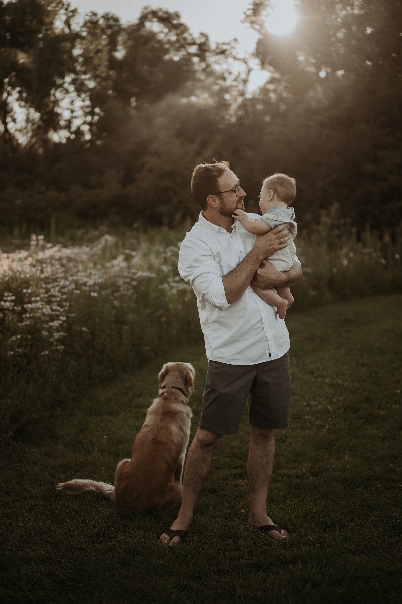 Adult holding baby in meadow at sunset with golden retriever sitting nearby.