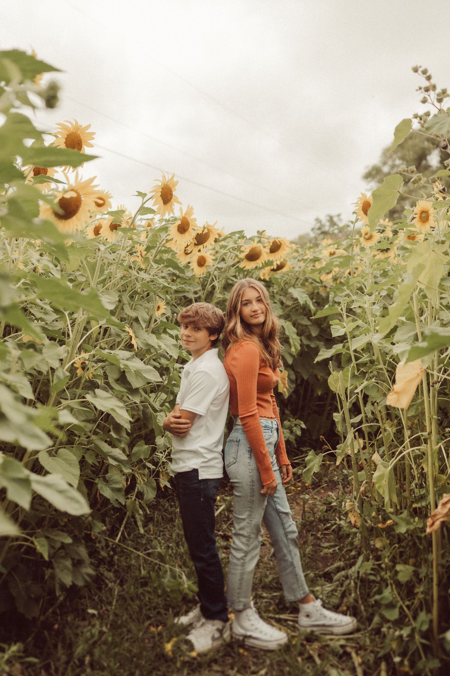 Two people pose back-to-back in a field of towering sunflowers.