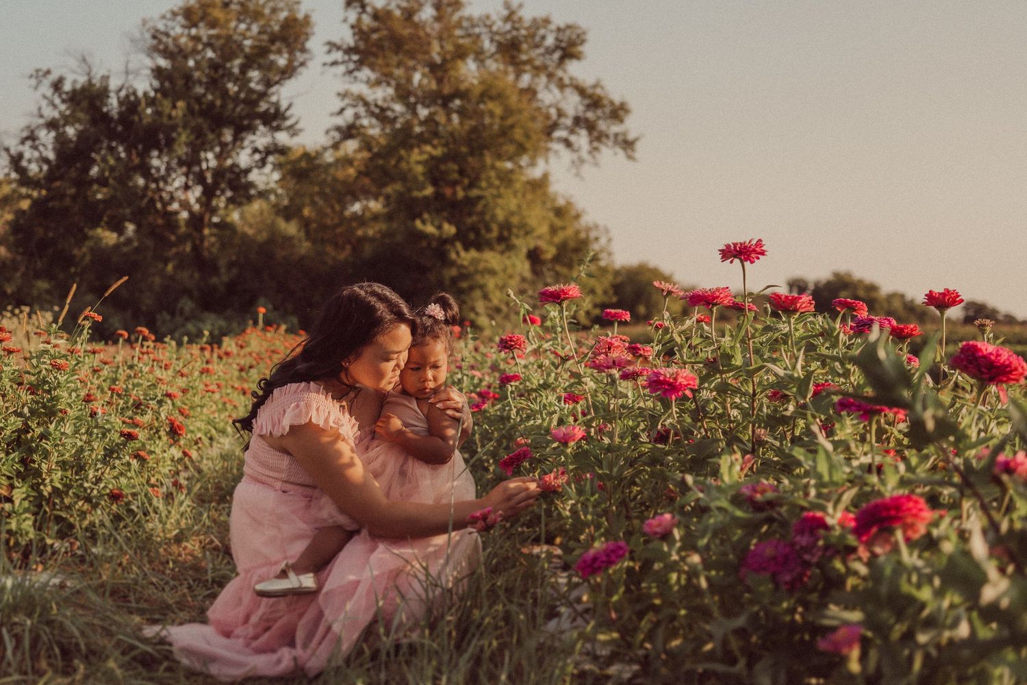 A tender family moment captured in a garden of vibrant red flowers at golden hour.