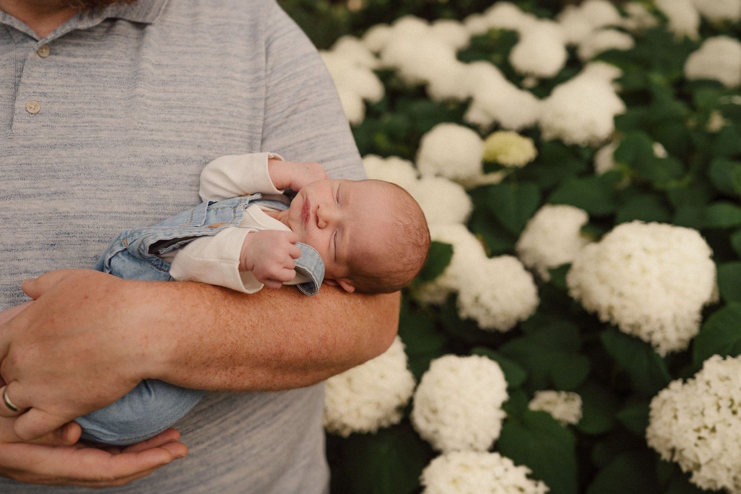 Intimate family portrait surrounded by beautiful white hydrangea blooms in a garden setting.