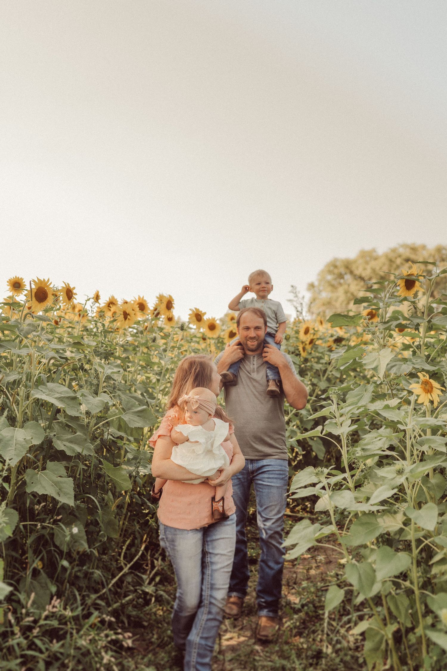 Family enjoying time together in a golden sunflower field at sunset.