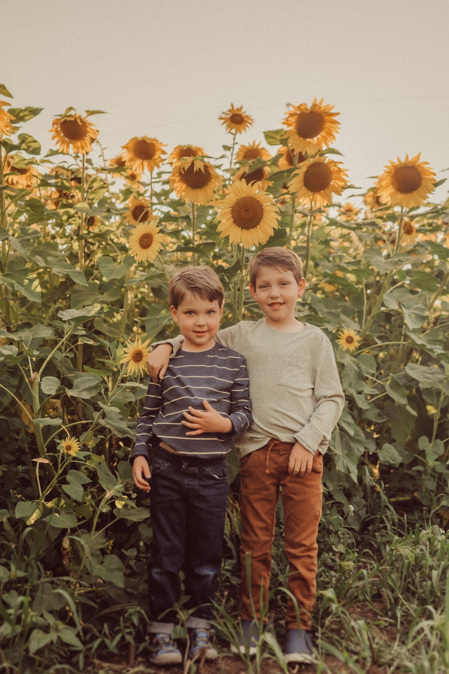 Two children standing together in a field of towering sunflowers during sunset.