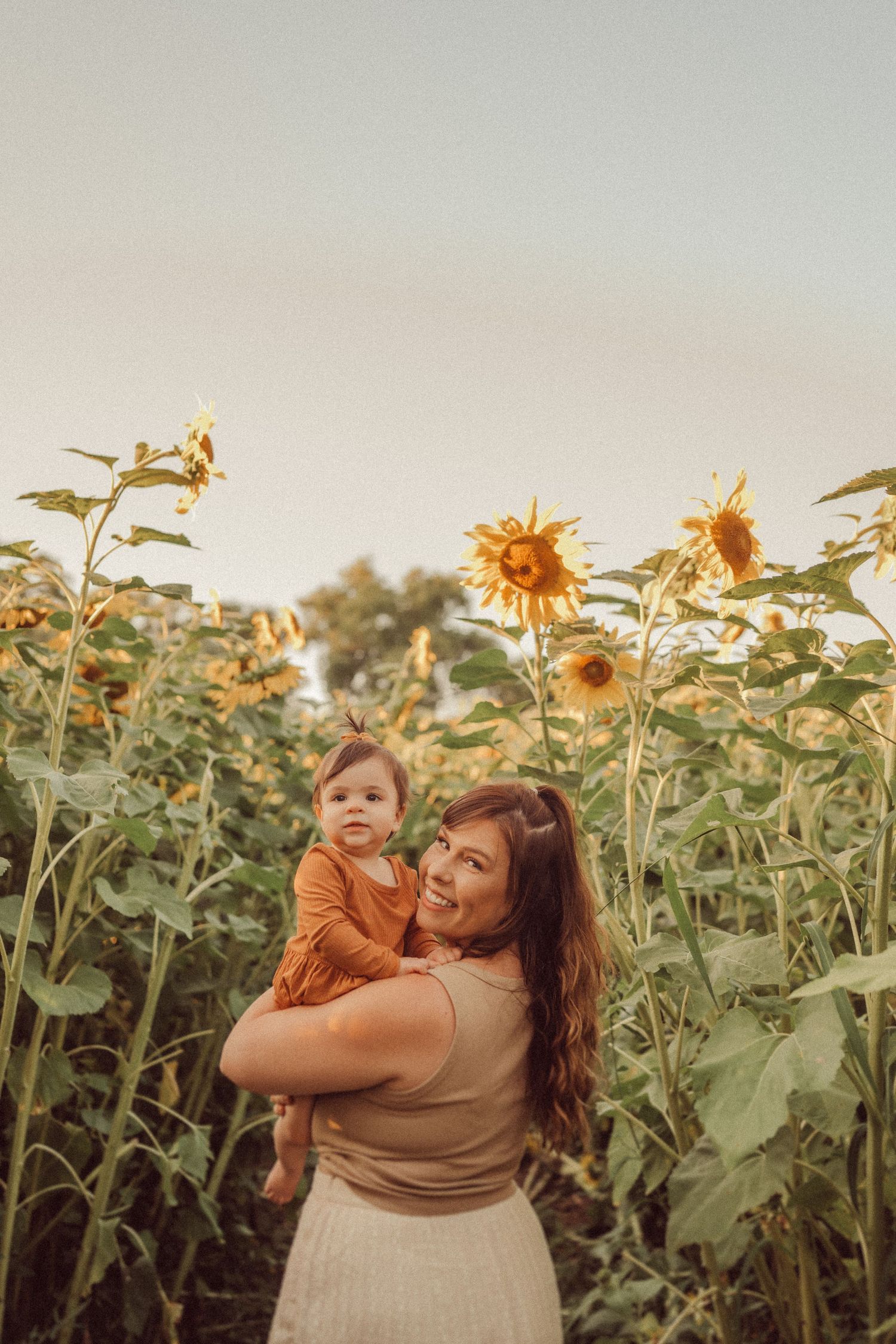 Warm sunset light bathes a touching family portrait among blooming sunflowers.
