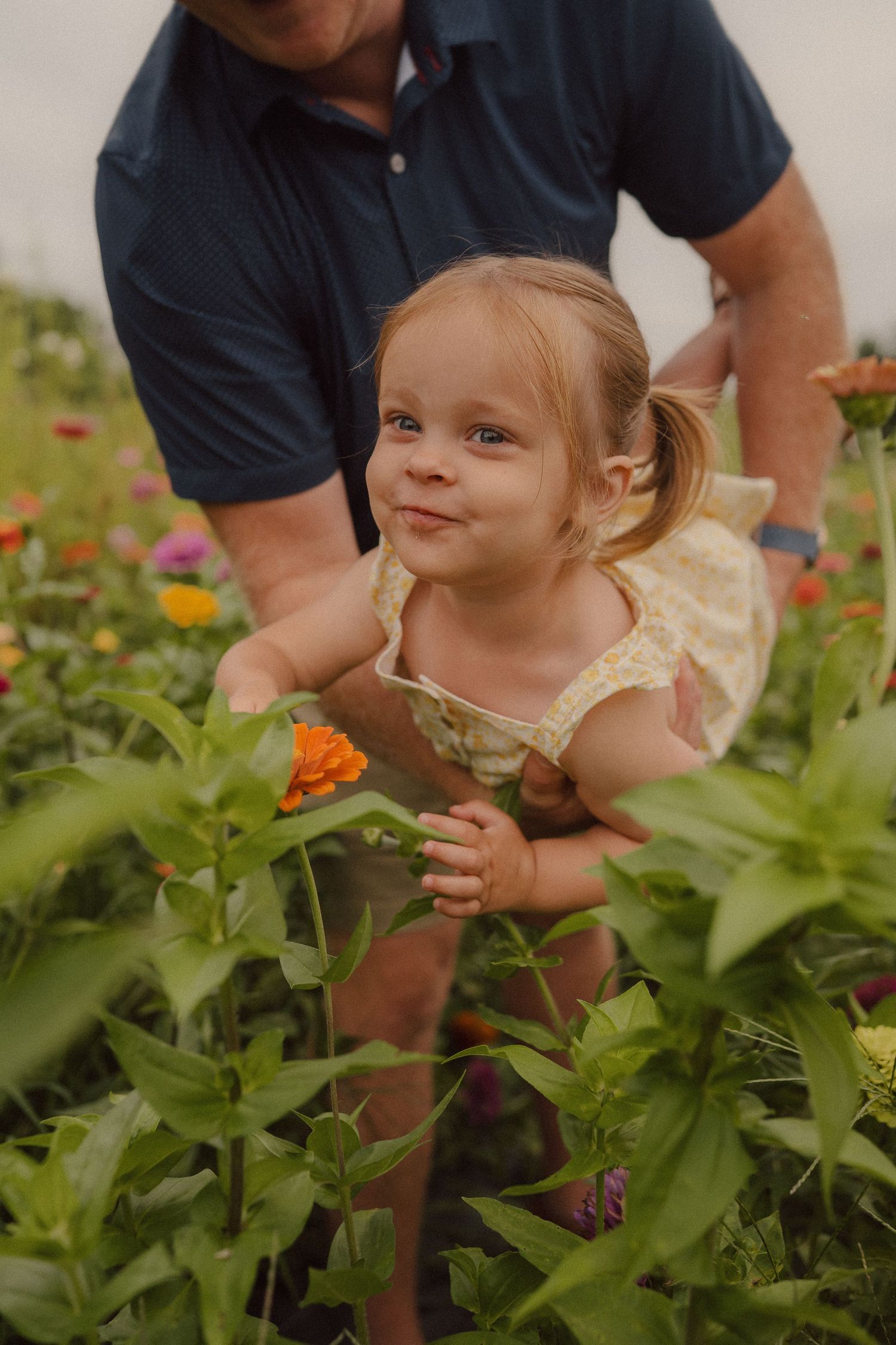 A collage of a young child exploring and discovering colorful flowers in a garden during summer.