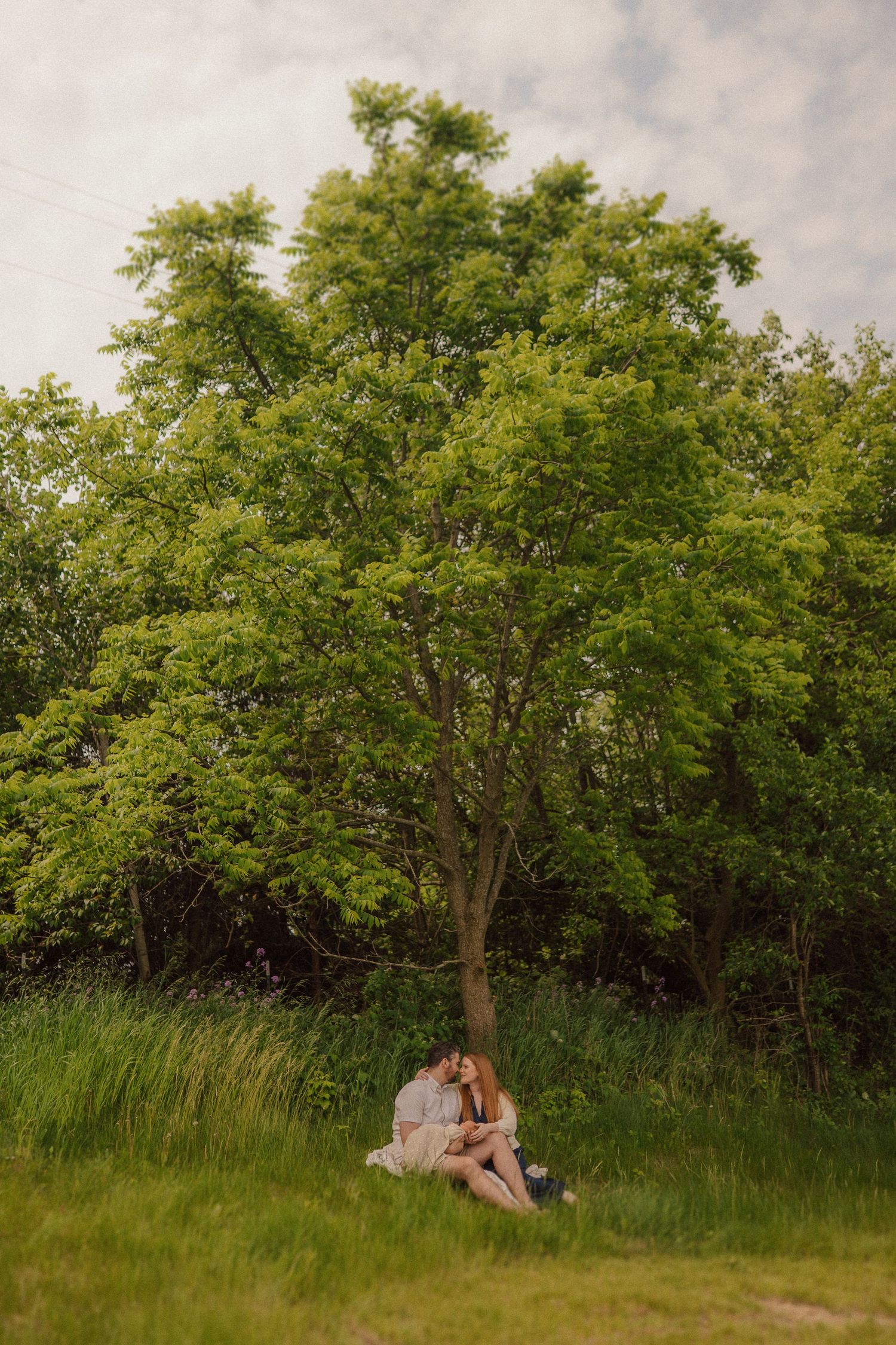 Romantic couple resting under large leafy tree in sunlit meadow.