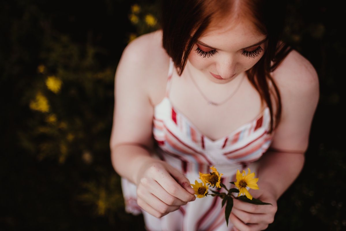 A gentle close-up shot examining yellow wildflowers in soft lighting.