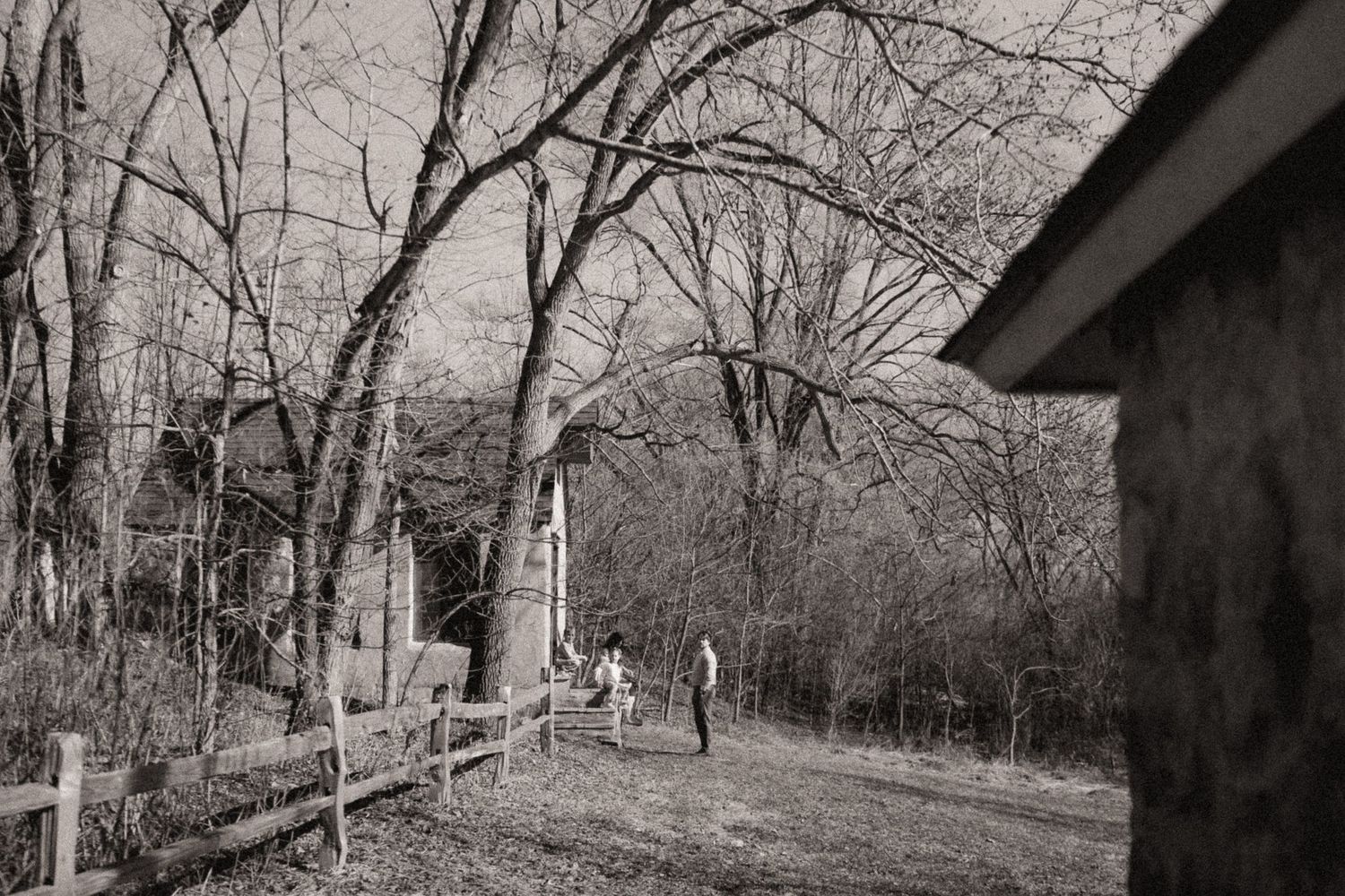A black and white winter landscape showing bare trees and a winding path.