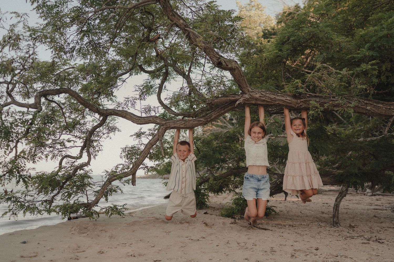 Three children hang from a curved tree branch on a sandy beach surrounded by lush green trees.