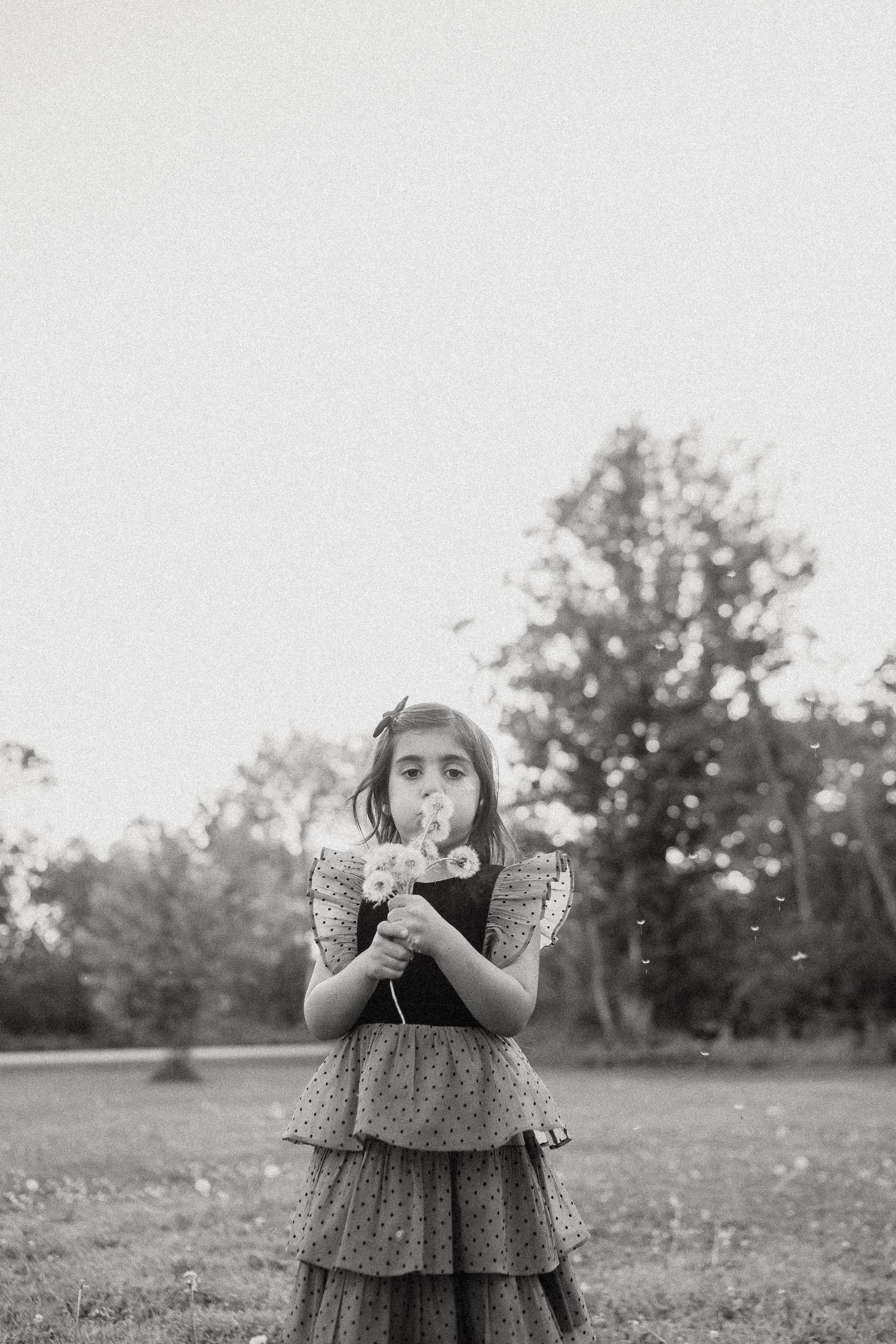A vintage black and white photograph of a young person blowing dandelion seeds in a grassy field.