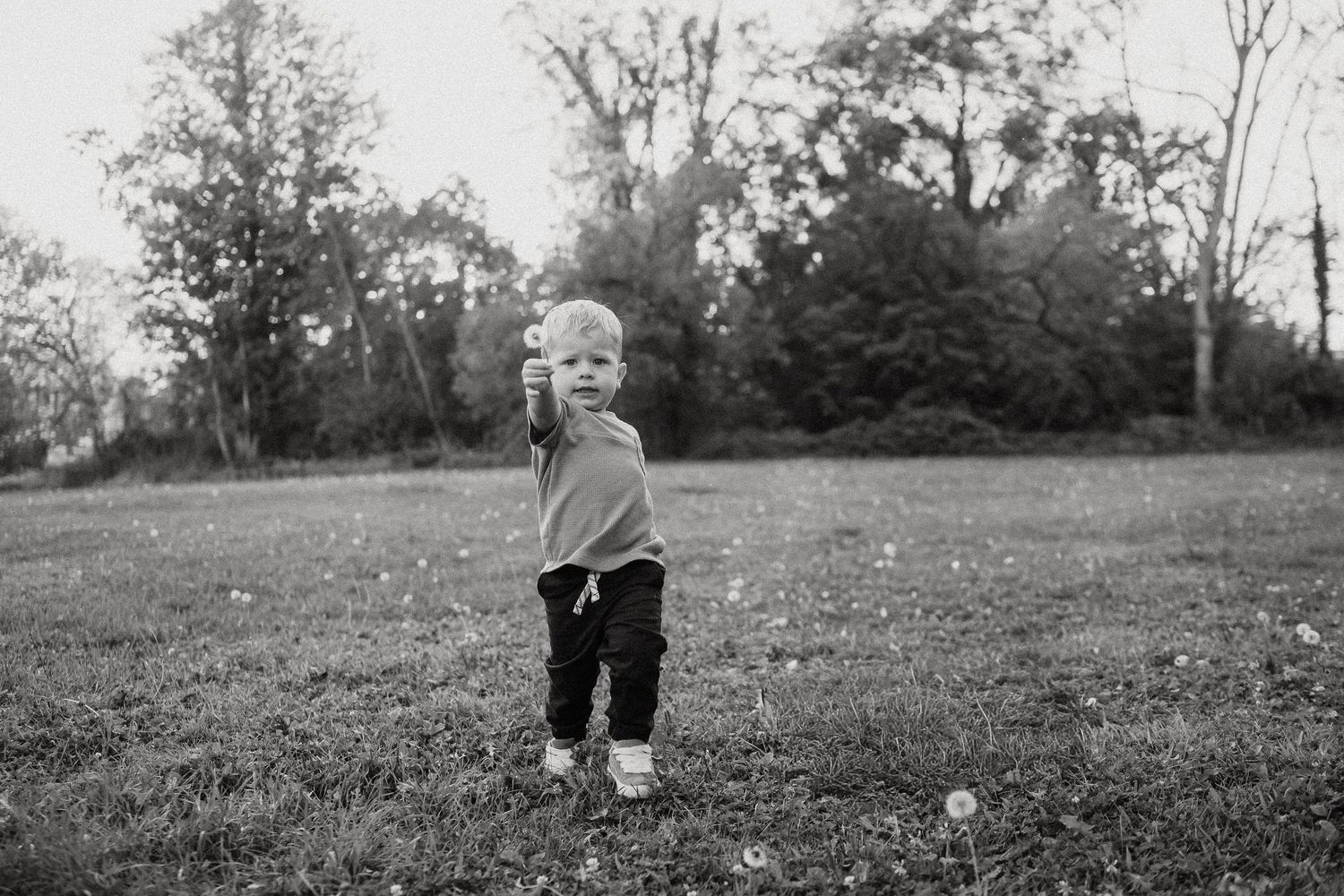 Children play and explore in a grassy field during a golden sunset.
