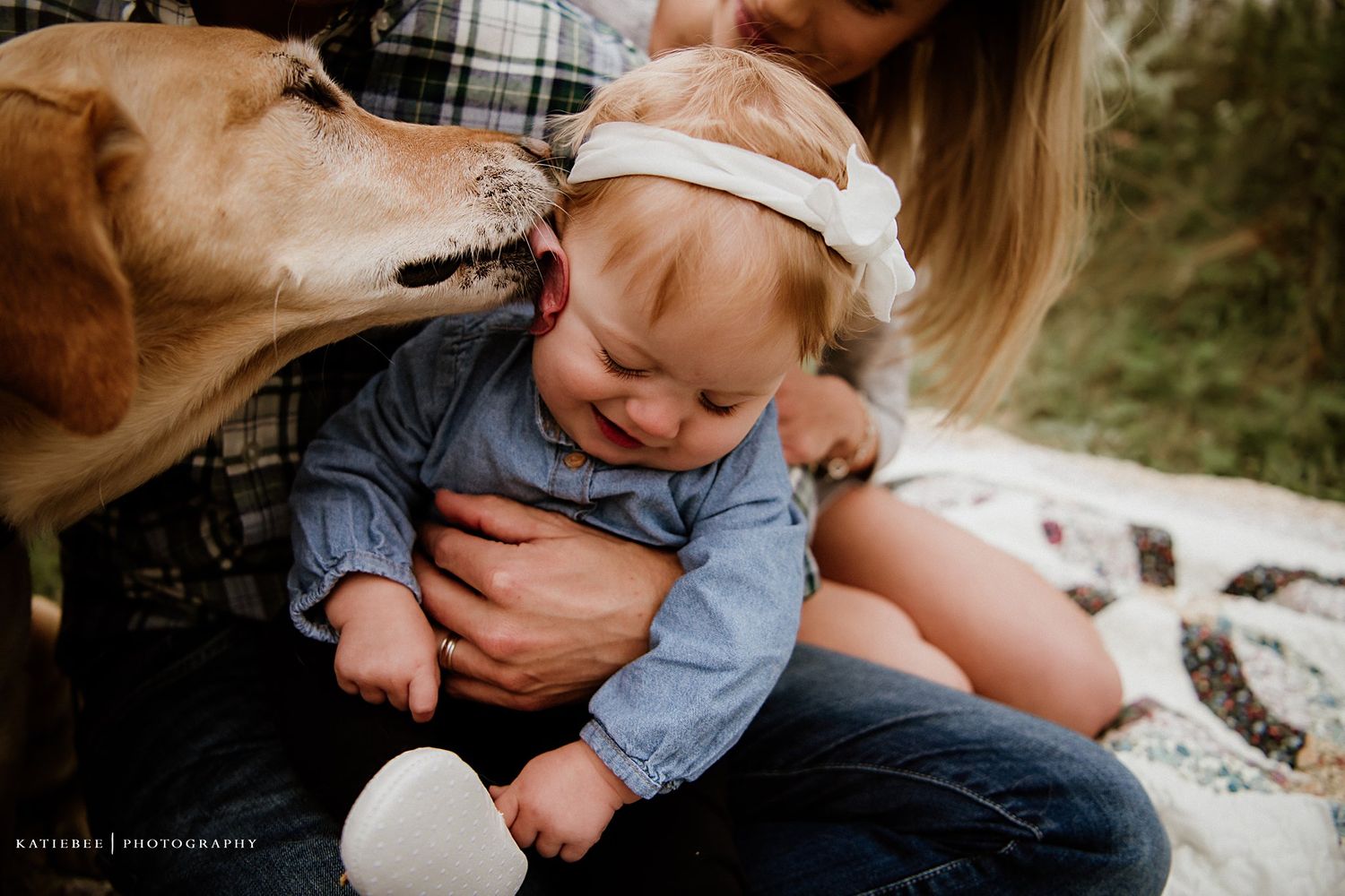 Adorable baby in denim being licked by a friendly dog while sitting on a blanket outdoors.