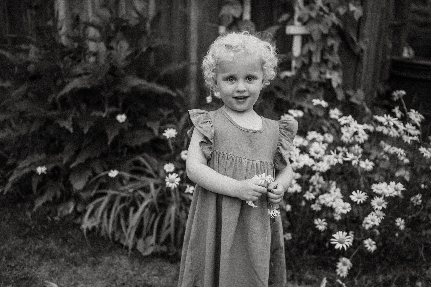 Child in ruffled dress stands in a garden with blooming daisies in black and white photograph.