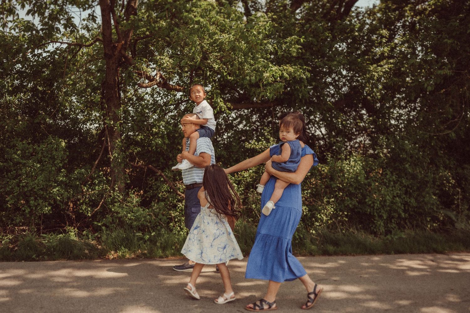 Family walking together on a tree-lined path with sunlight filtering through branches.