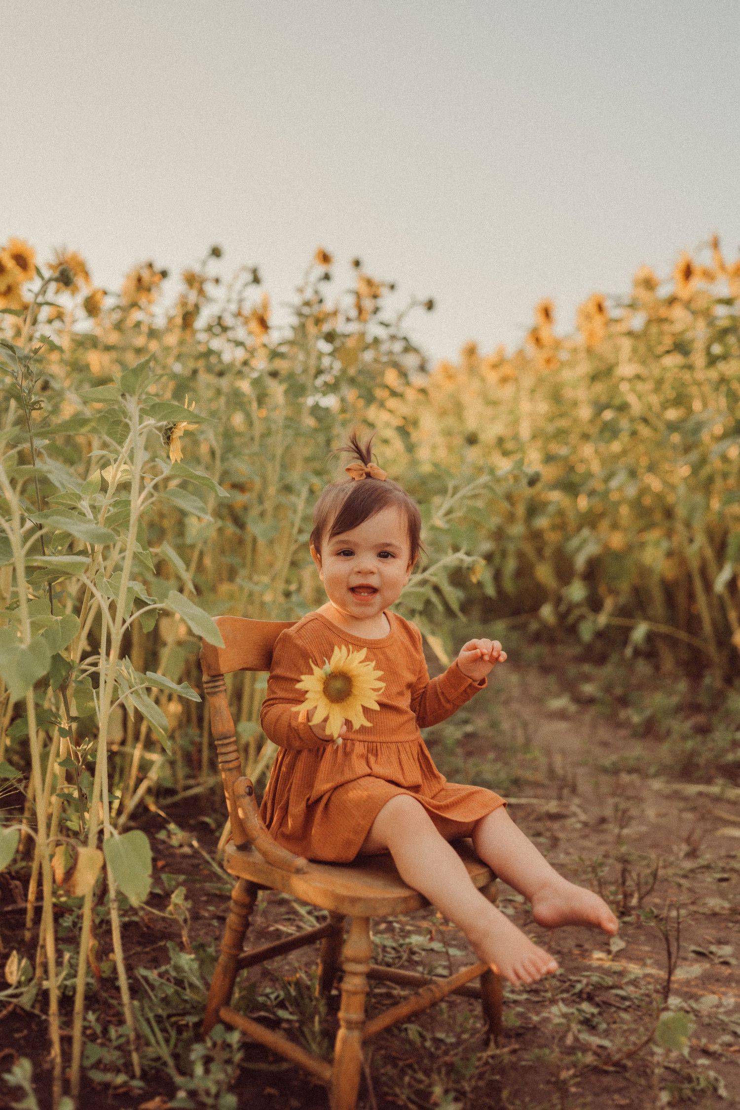 A small child in rust-colored dress sits on wooden chair among blooming sunflowers.
