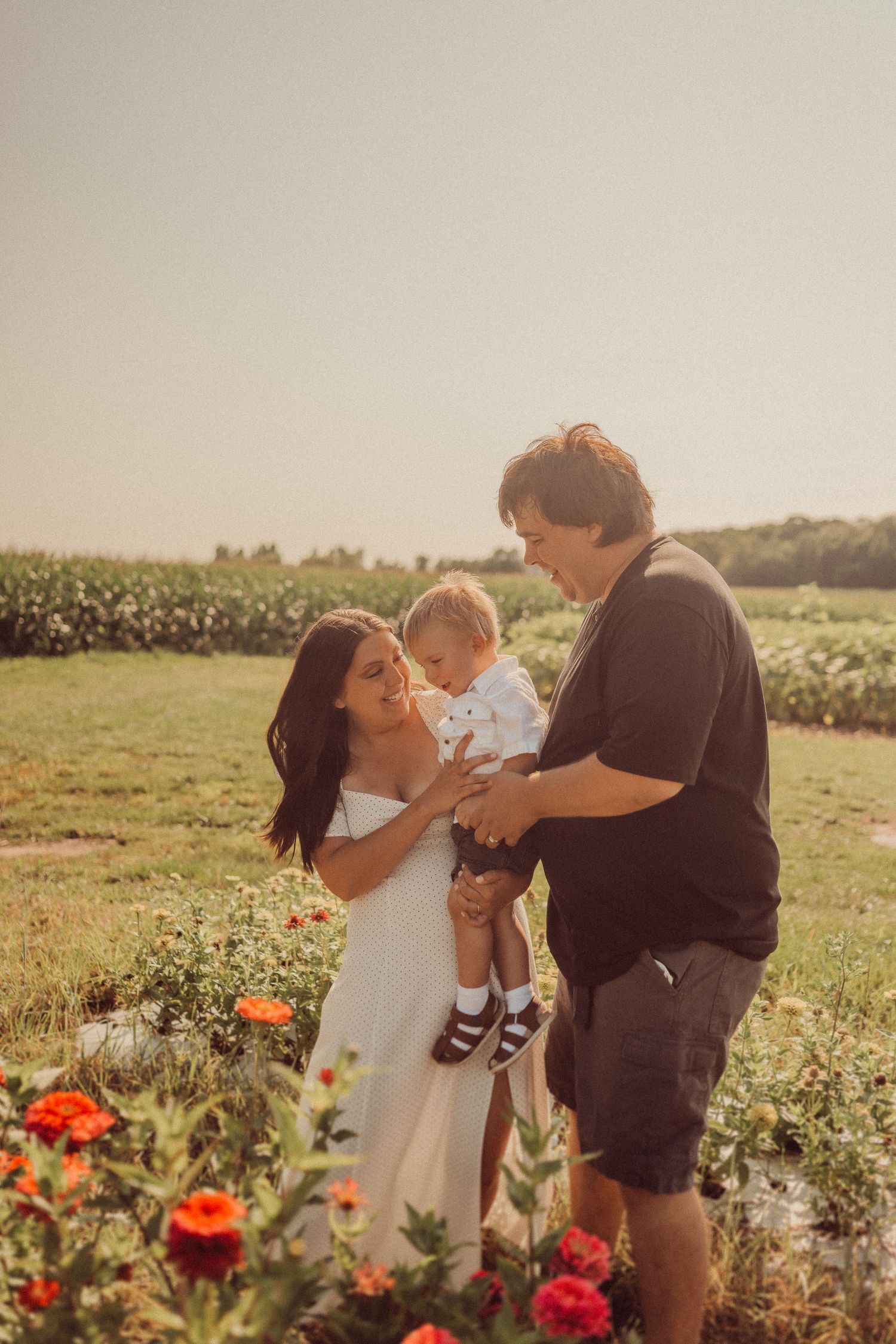 A tender family moment captured among blooming poppies in evening light.