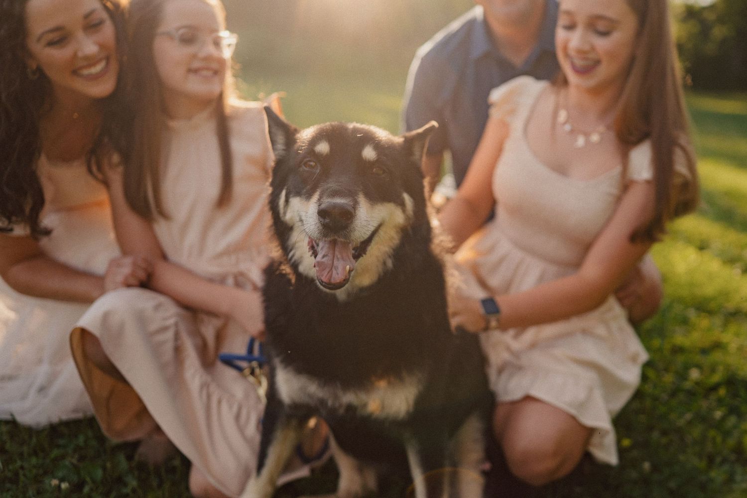 People sitting together on grass enjoying warm sunset light in a casual outdoor setting.