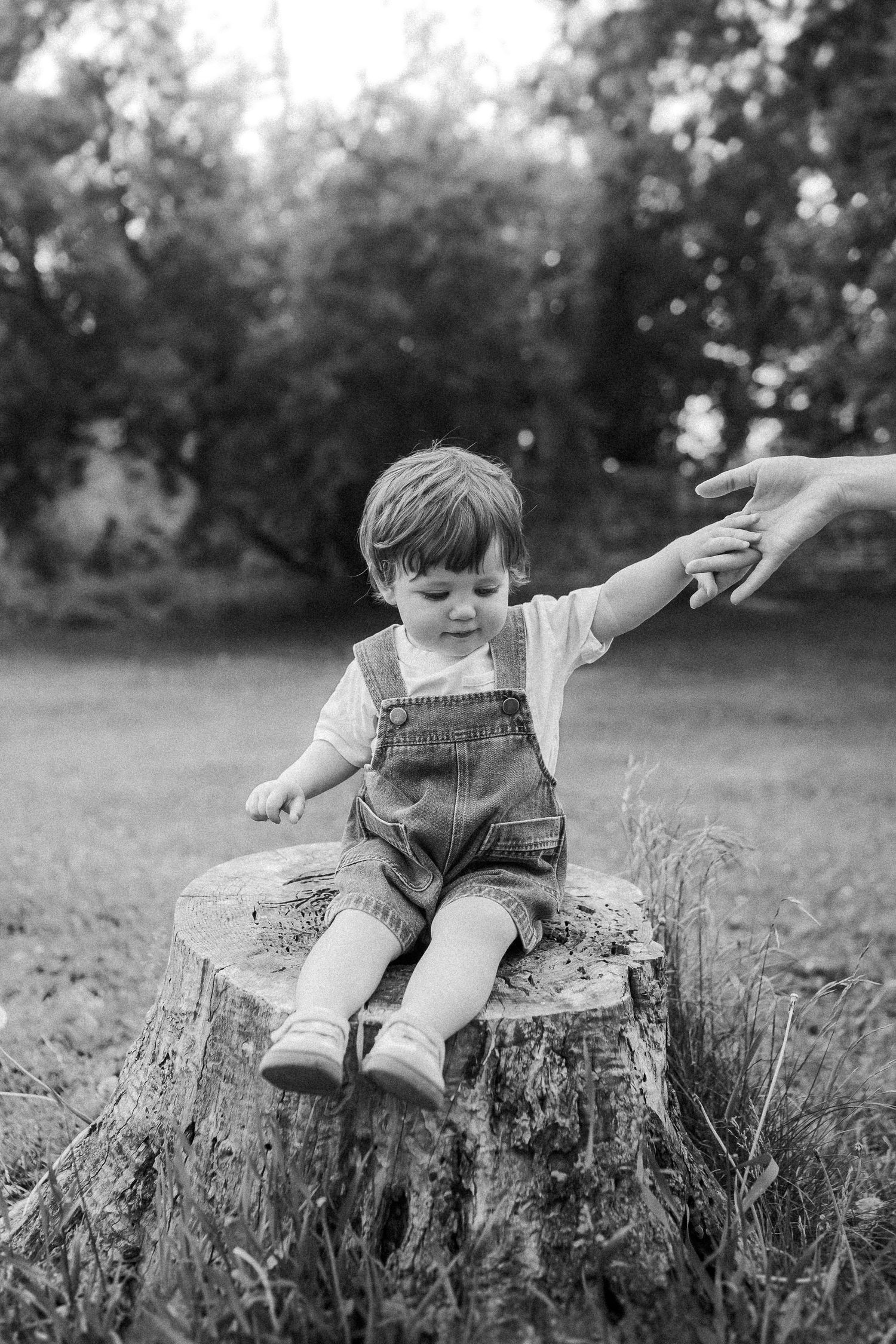 Multiple views of a small child in overalls balancing and playing on a large tree stump outdoors.