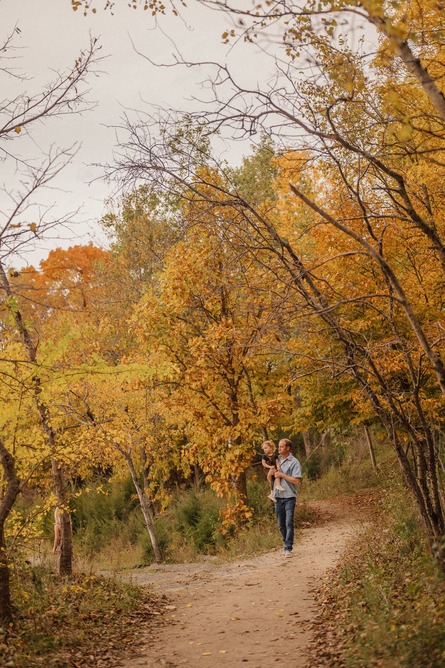 A scenic autumn hiking trail with golden leaves and winding path through the trees.