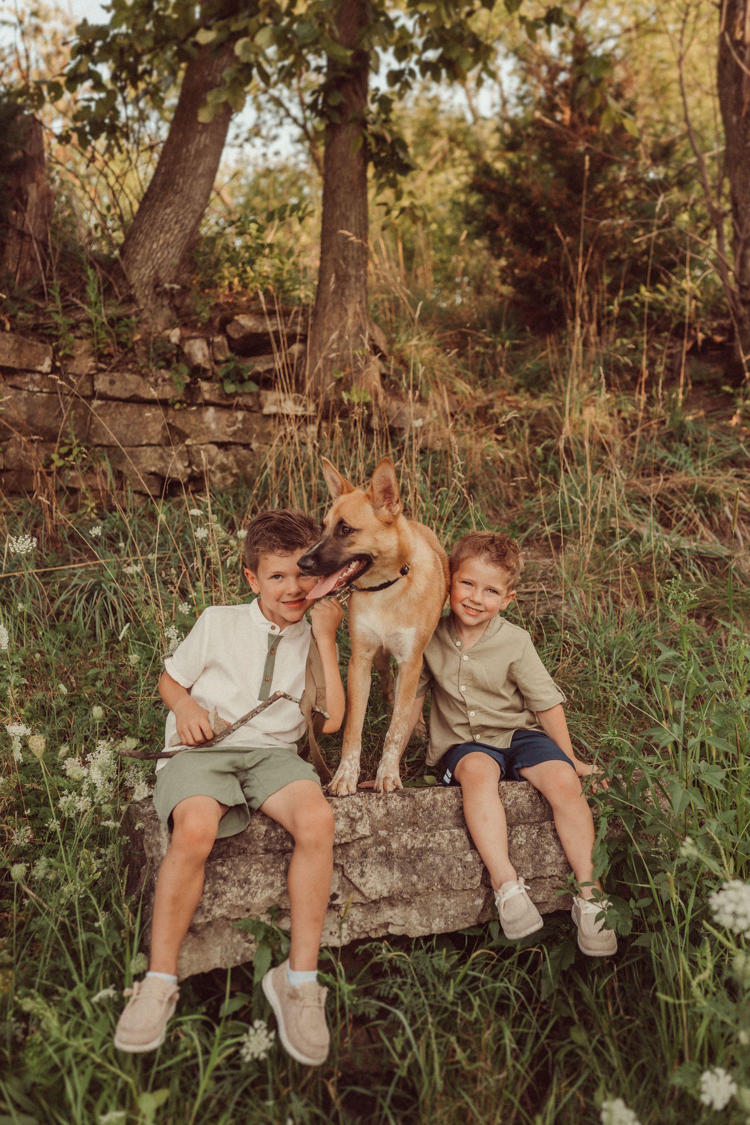 Two children sit with a German Shepherd on a stone wall surrounded by summer foliage.
