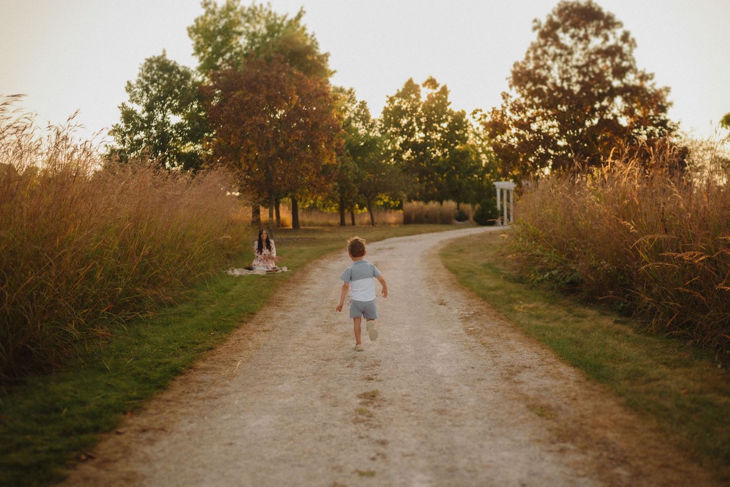 Person running down a dirt path surrounded by autumn trees and tall grass at sunset.