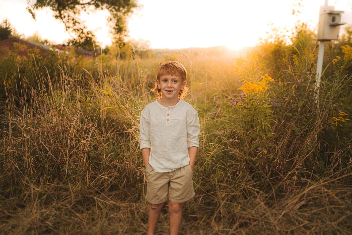 Child standing alone in wild meadow during golden hour sunset.