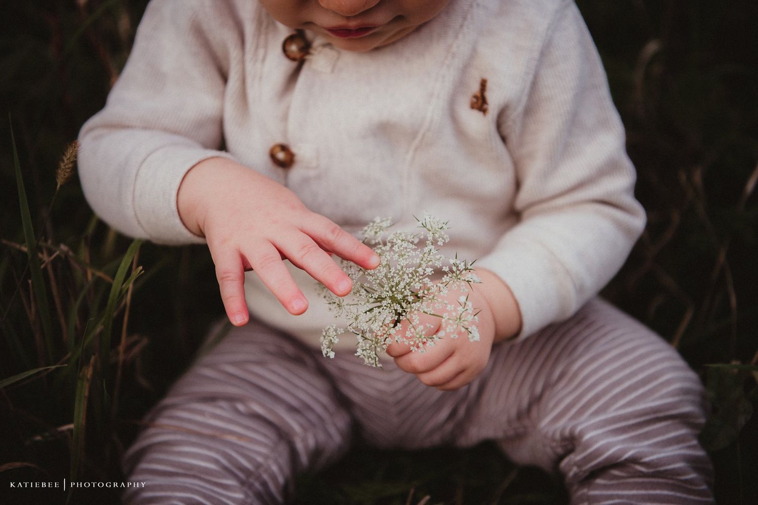 Small hands hold delicate white Queen Anne's Lace flower while sitting in grass.