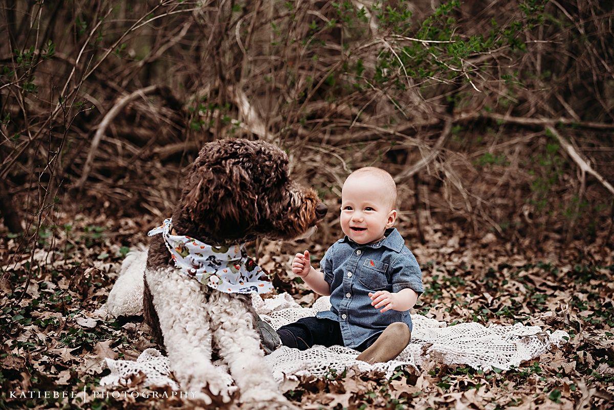 Outdoor family photography scene on blanket with autumn leaves and natural surroundings.