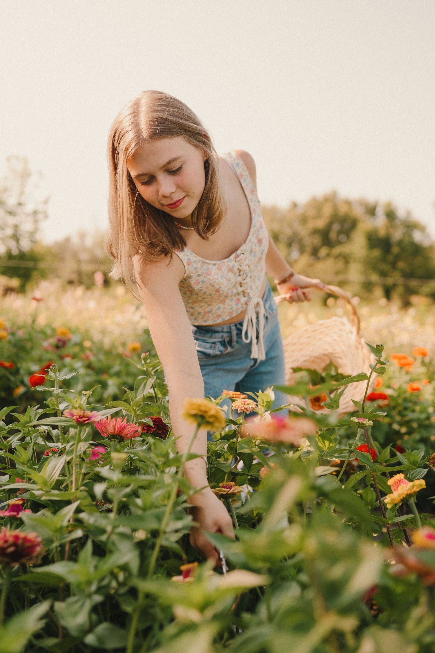 A person in casual summer attire picking flowers in a colorful garden during golden hour.