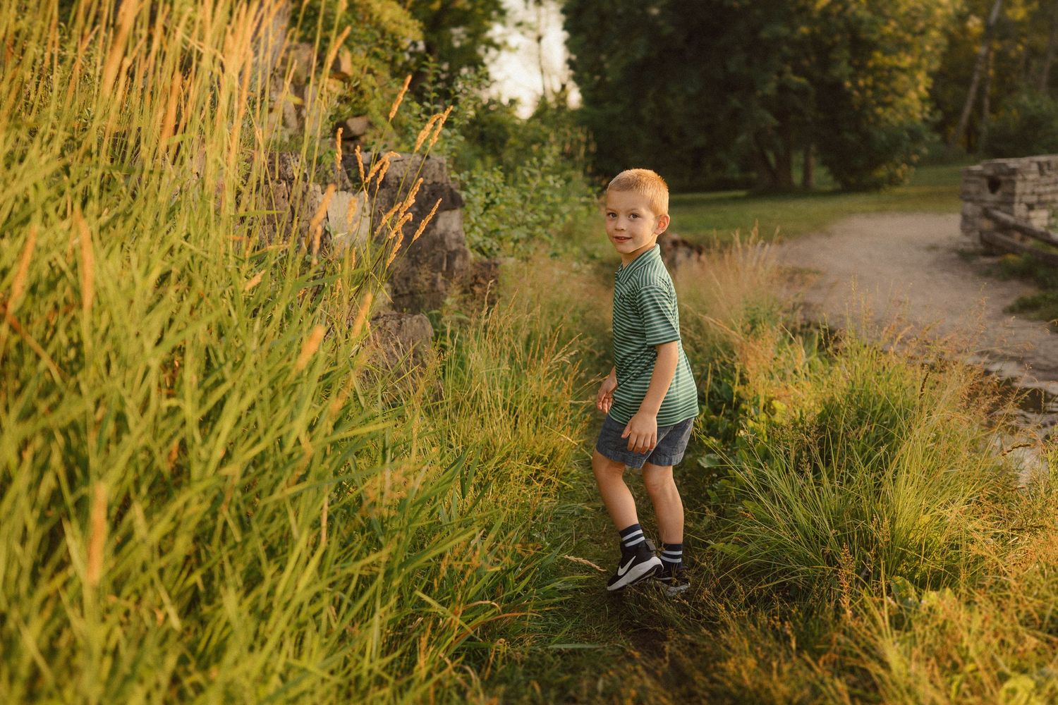 Golden sunlight illuminates a natural pathway through tall grass and wildflowers.