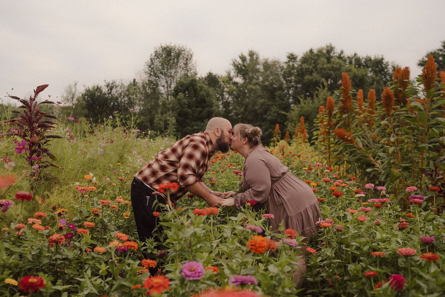 People harvesting vibrant red flowers in a lush garden field during autumn season.