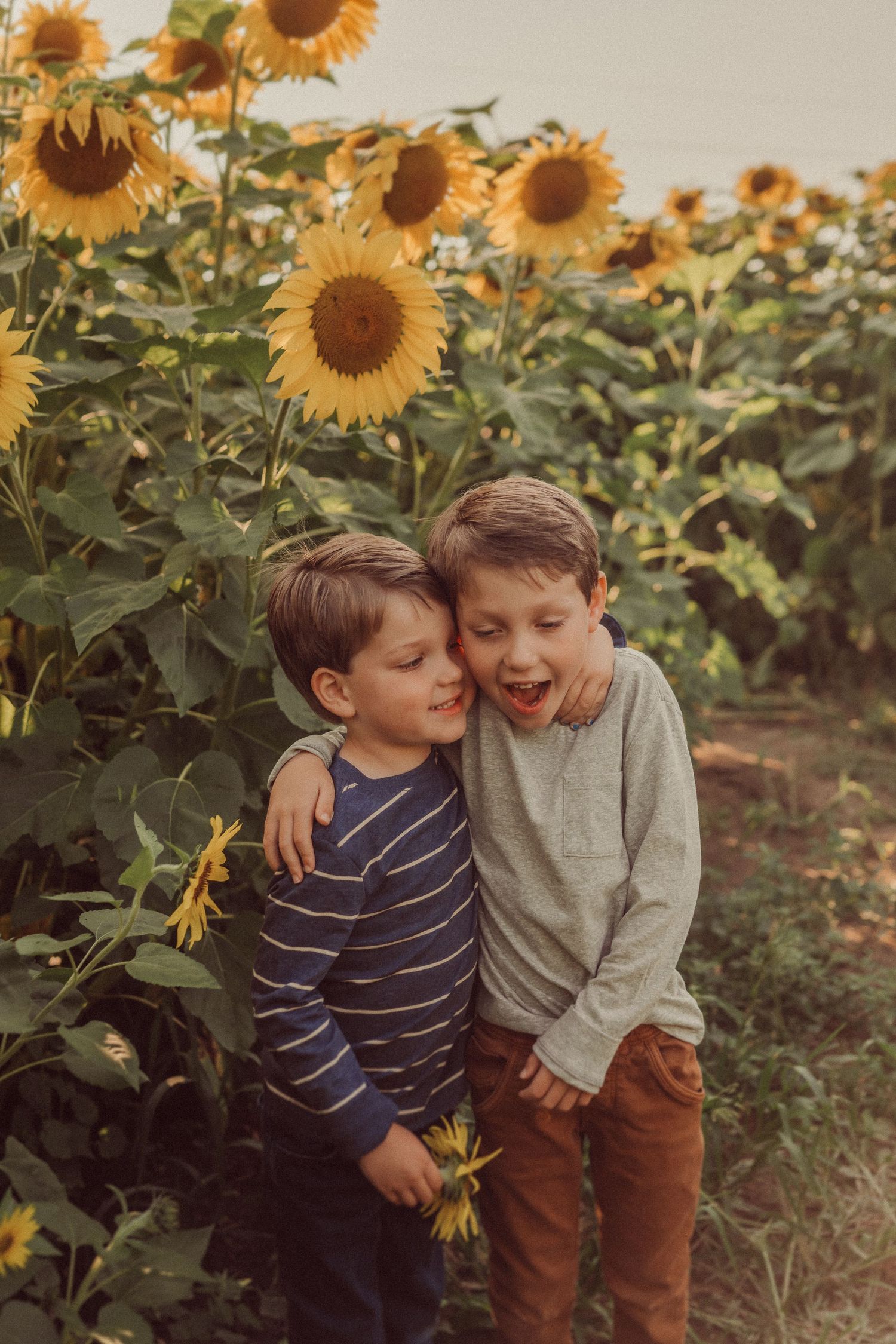 Two children sharing a joyful moment together in a blooming sunflower field at sunset.