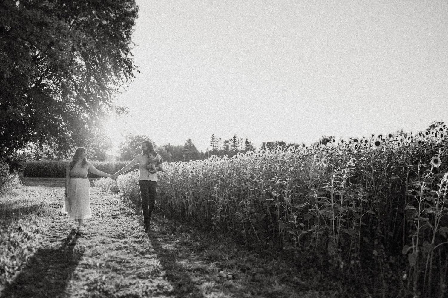 Black and white silhouette of two people walking alongside a sunflower field.