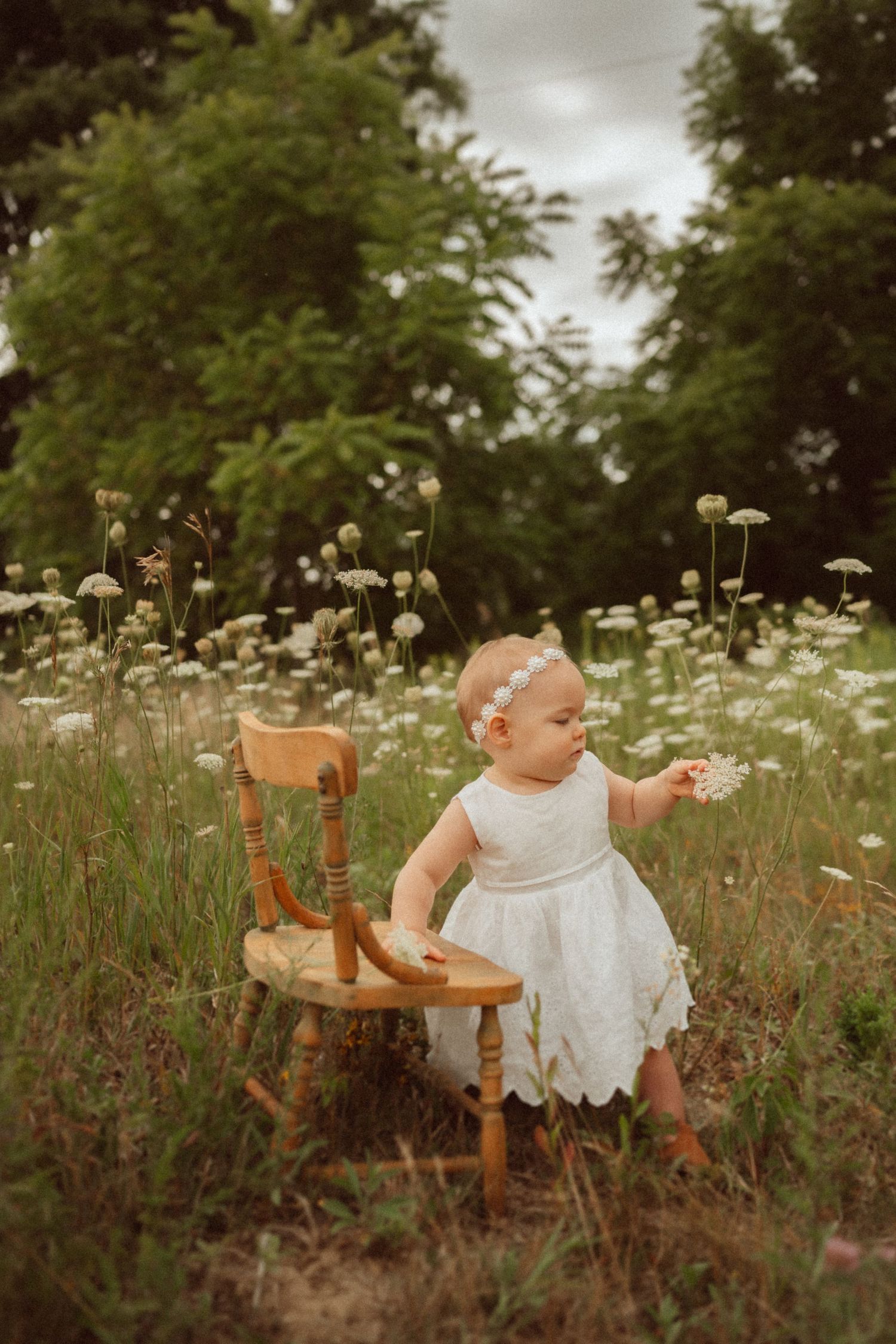Baby wearing white dress stands by vintage wooden chair in meadow of Queen Anne's lace.