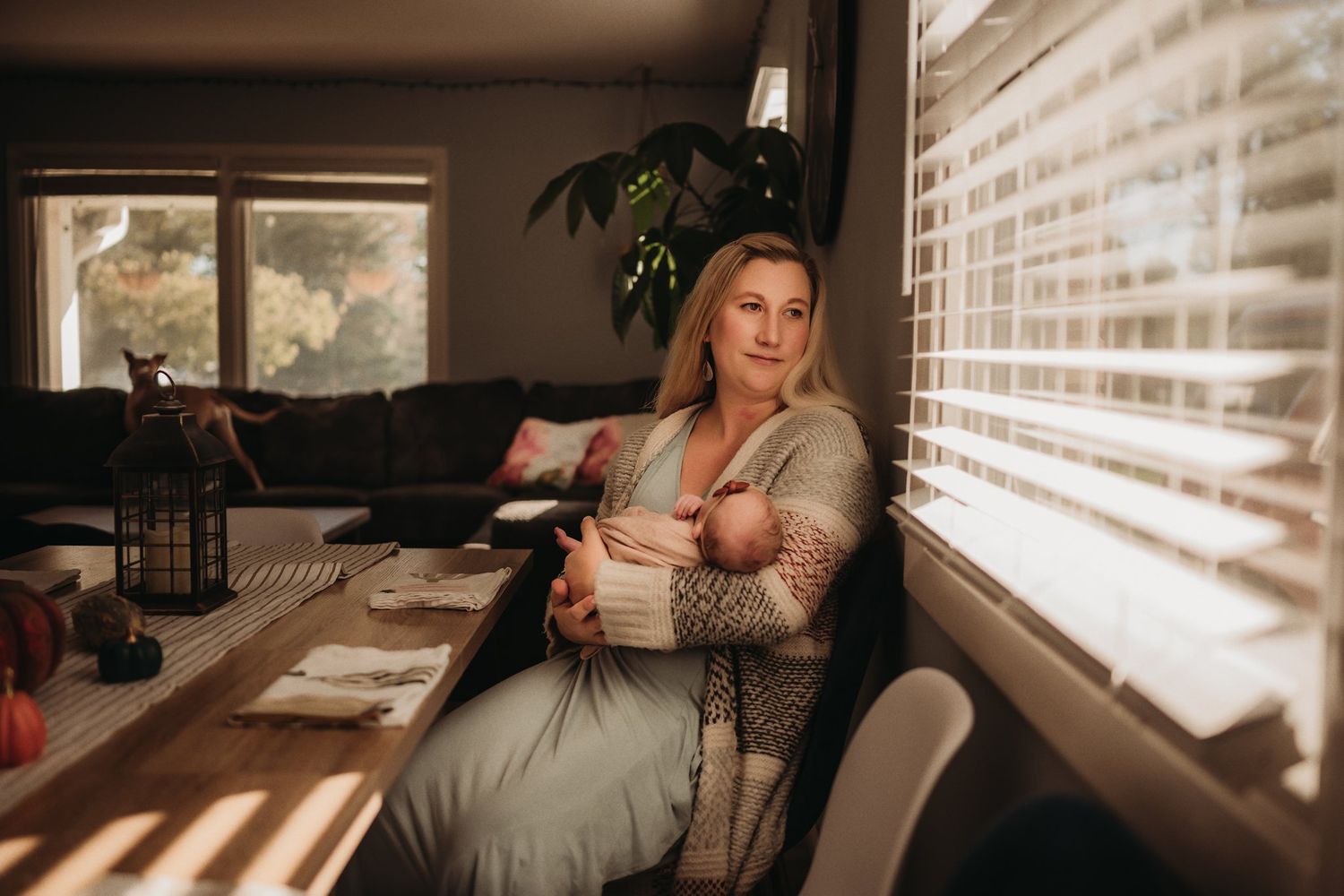A peaceful scene of a nursing session by a window with warm sunlight streaming through blinds.