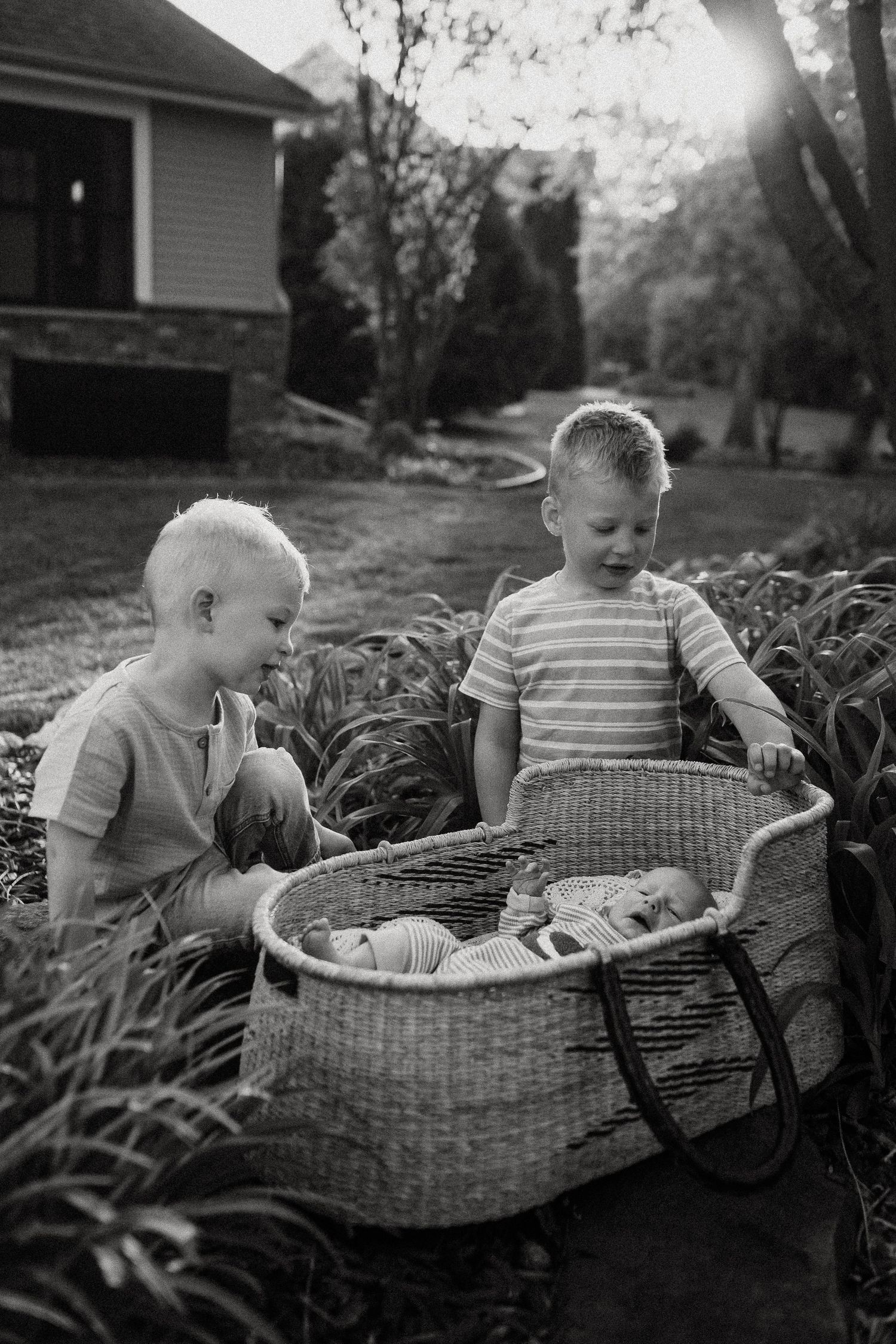 Two young boys in black and white photo examining a woven Moses basket outdoors in a garden.