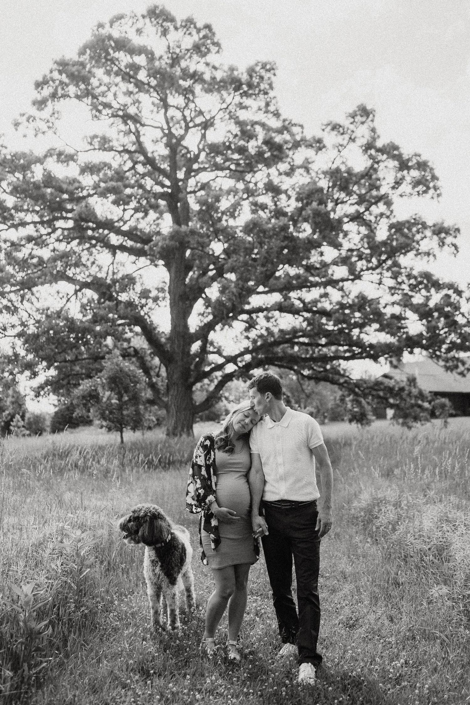 Black and white photo of pregnant couple with dog standing in field under large oak tree.