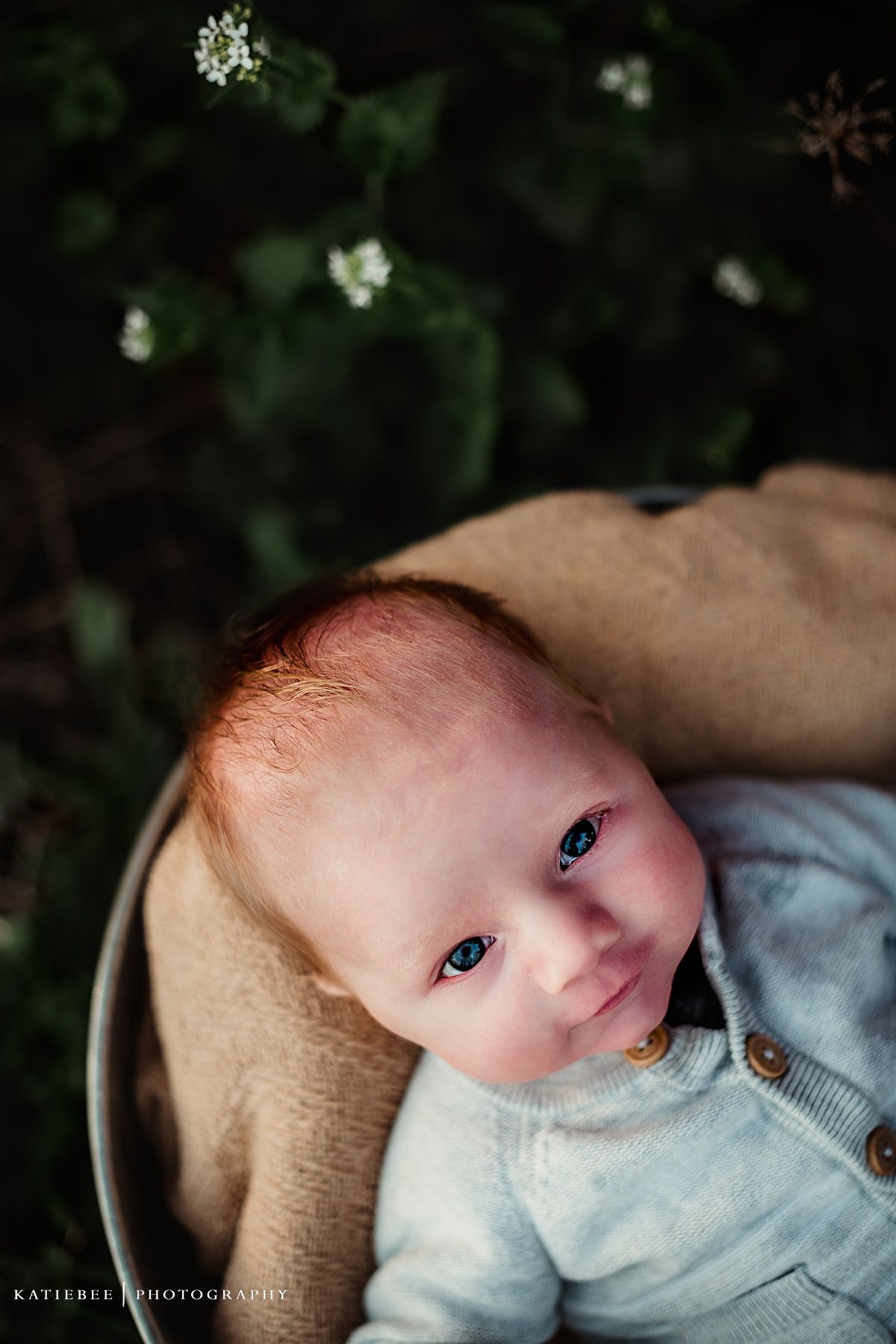 Close up portrait of infant in light blue outfit lying in tan basket outdoors.