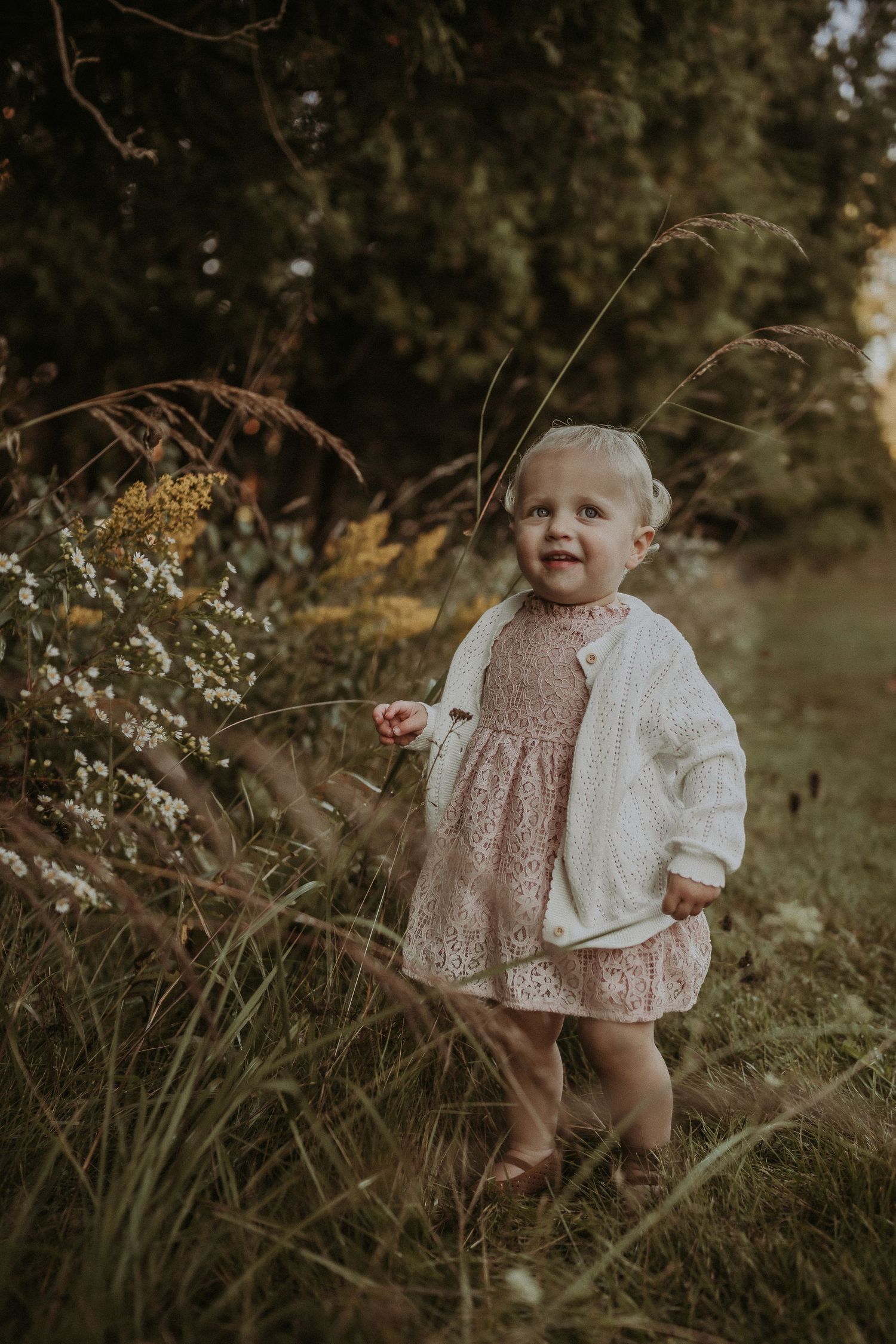 Child in a lace dress and cardigan standing among wild grasses in warm evening light.