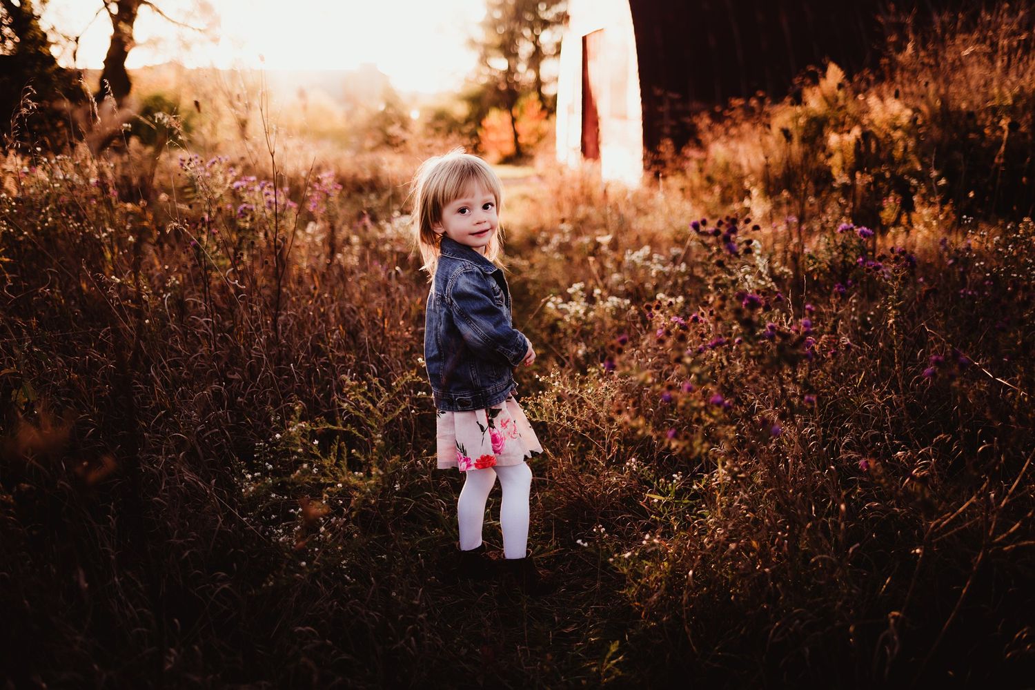 Young child in denim jacket standing among tall grasses during golden hour.
